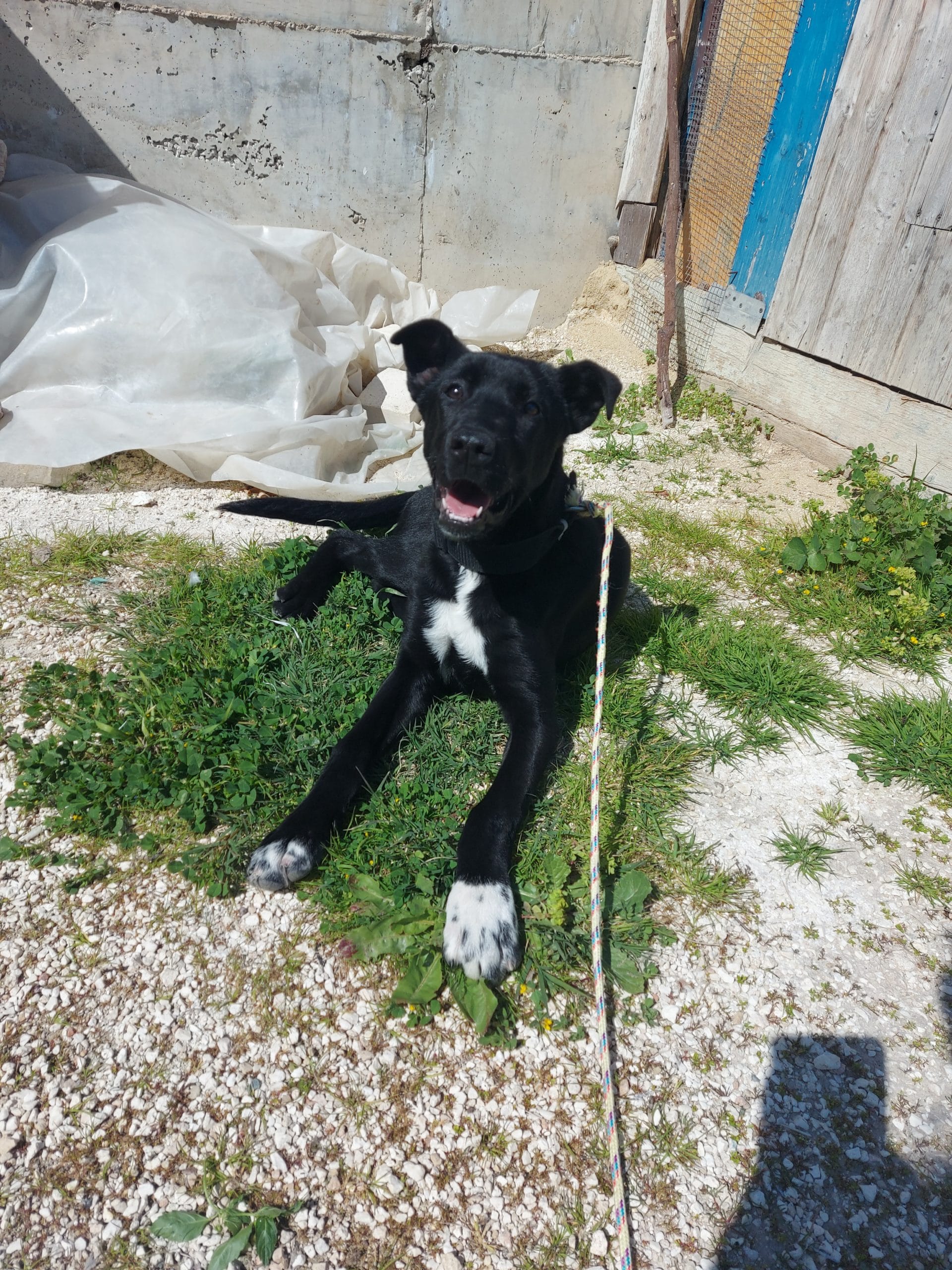 inbound339074612619202611