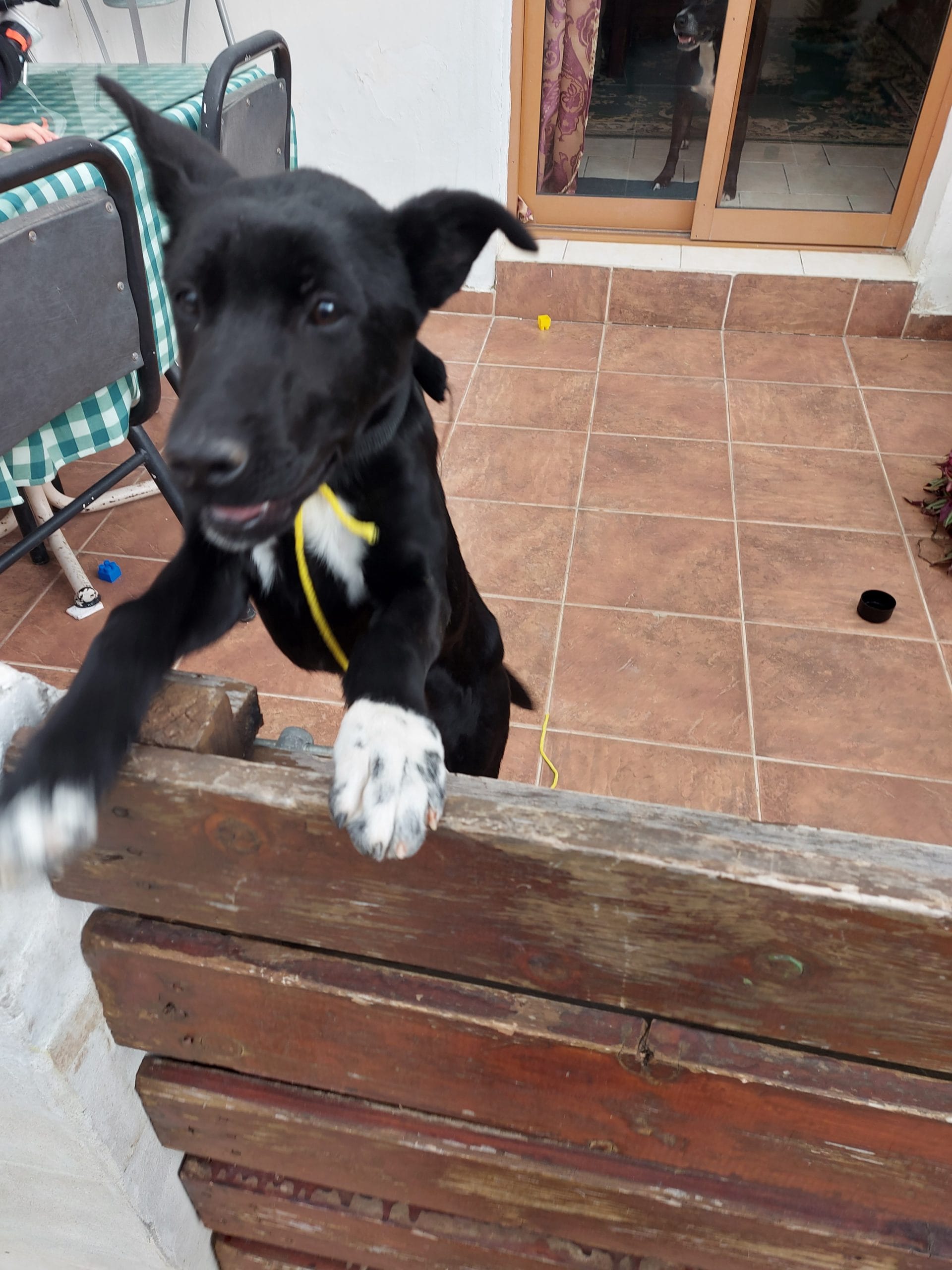 inbound3602123640953321380