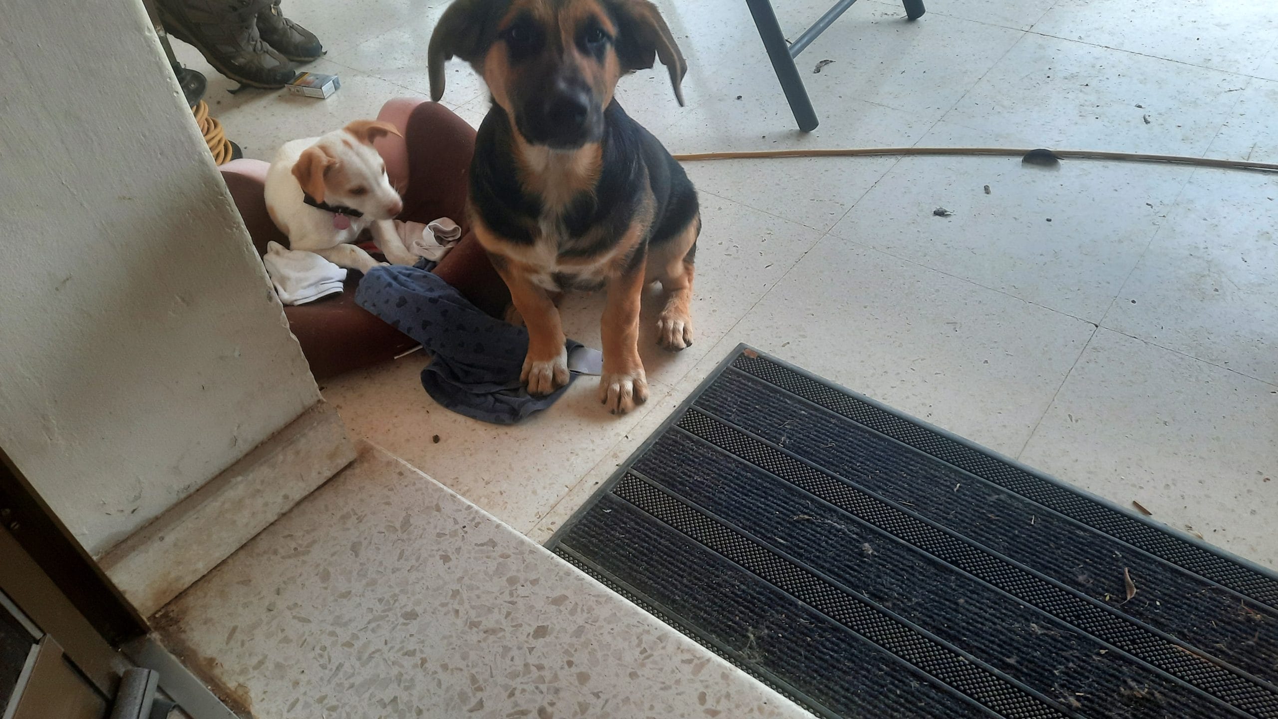 inbound5165917591180868151