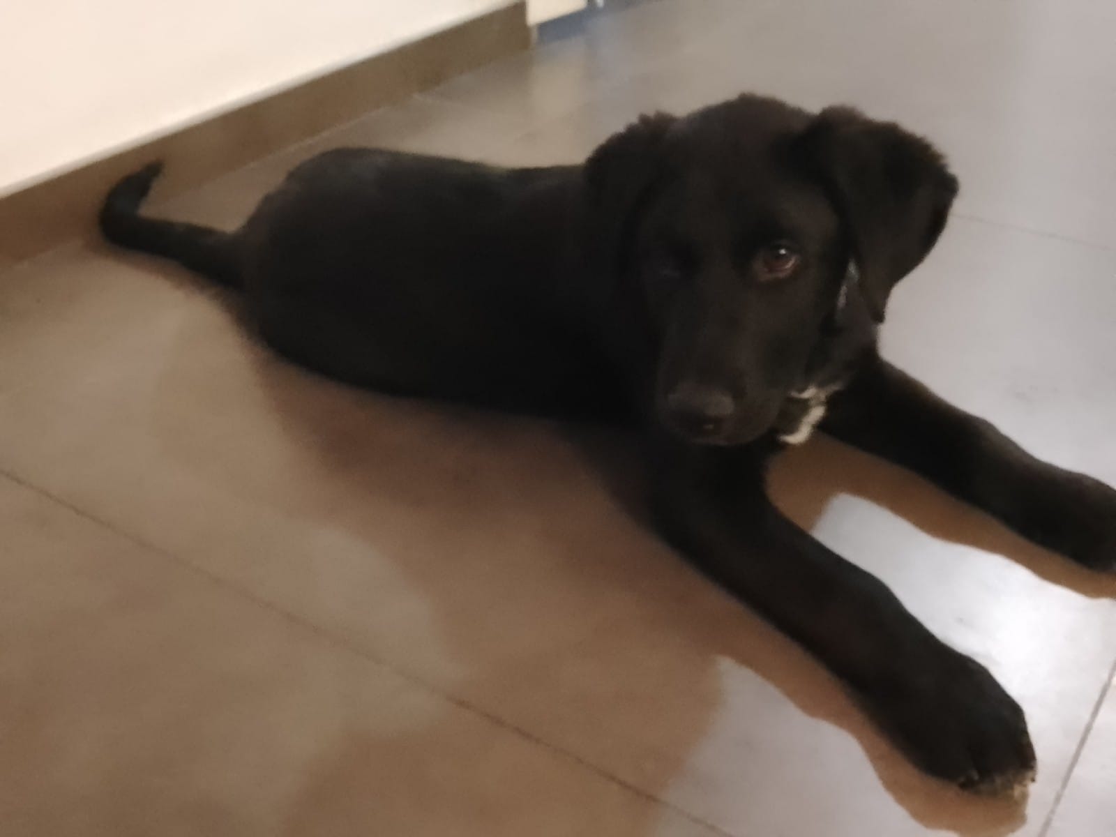 viber_image_2022-03-31_19-43-09-067