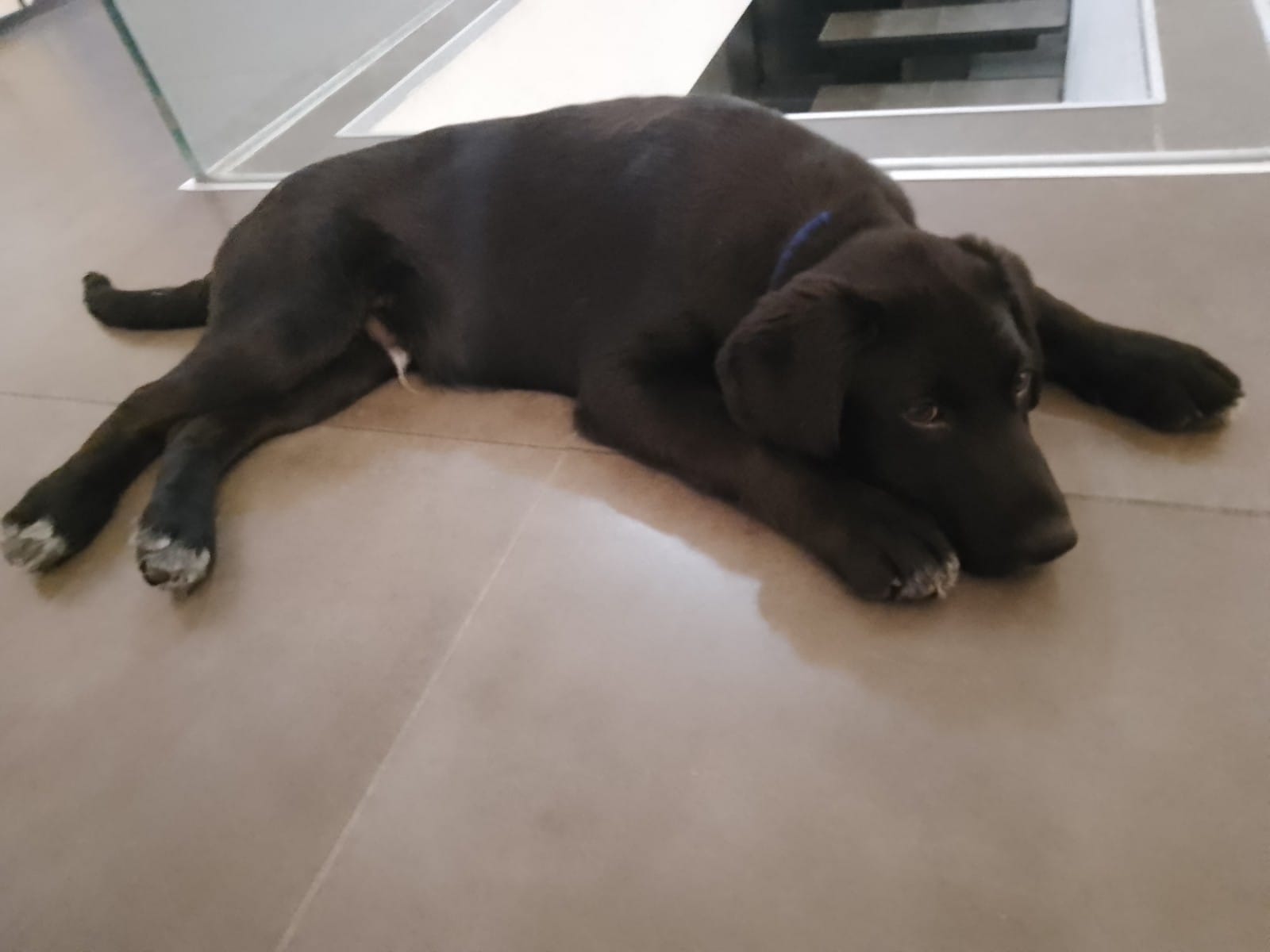 viber_image_2022-03-31_19-43-09-317