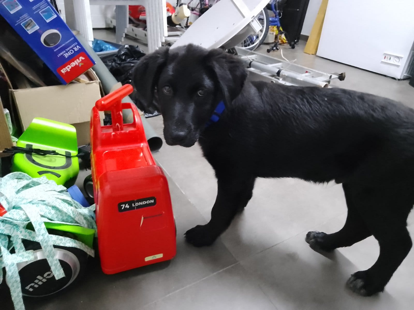 viber_image_2022-03-31_19-45-53-954