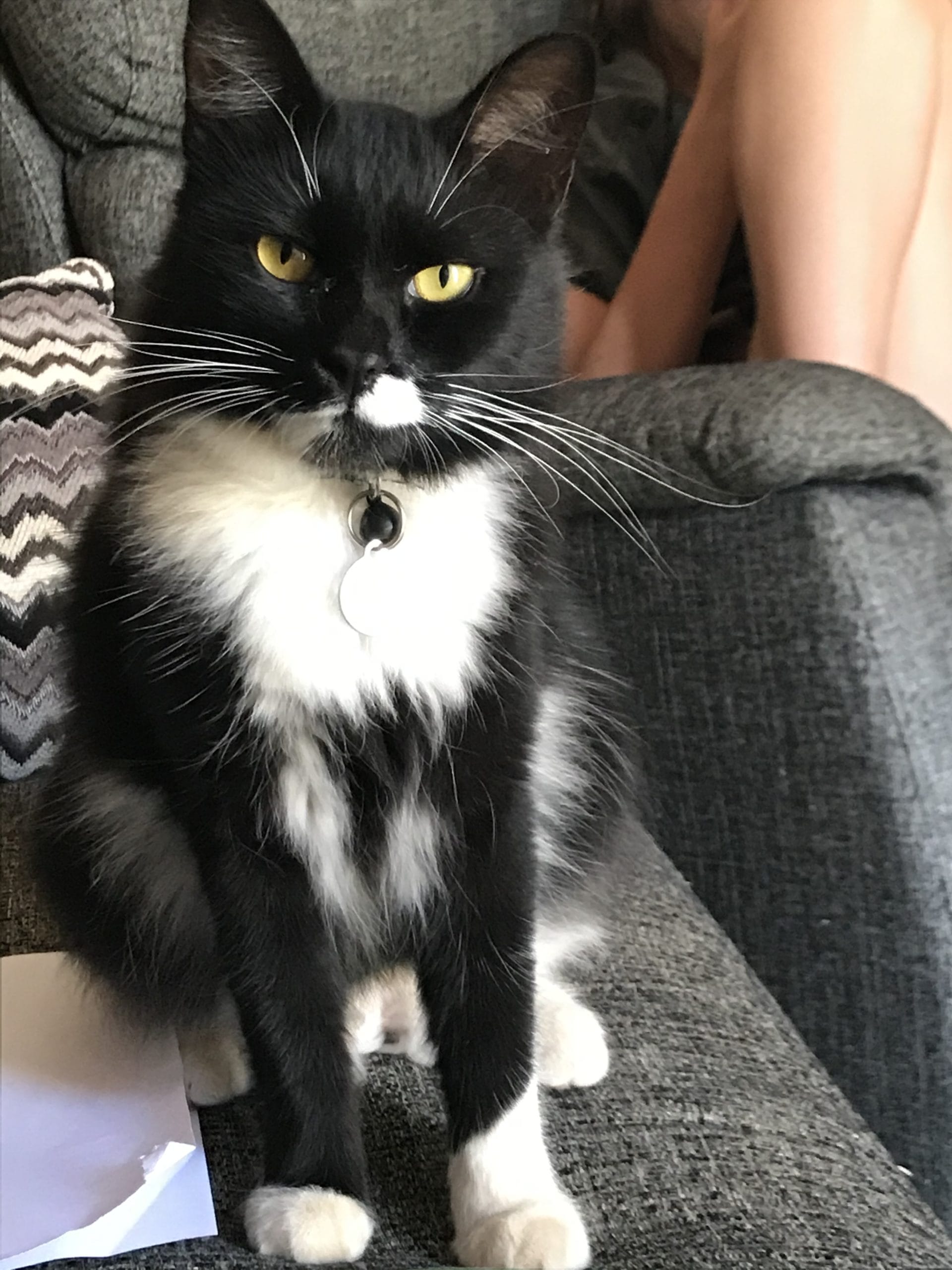 069B5543-1EF0-4840-839B-32184FD09921