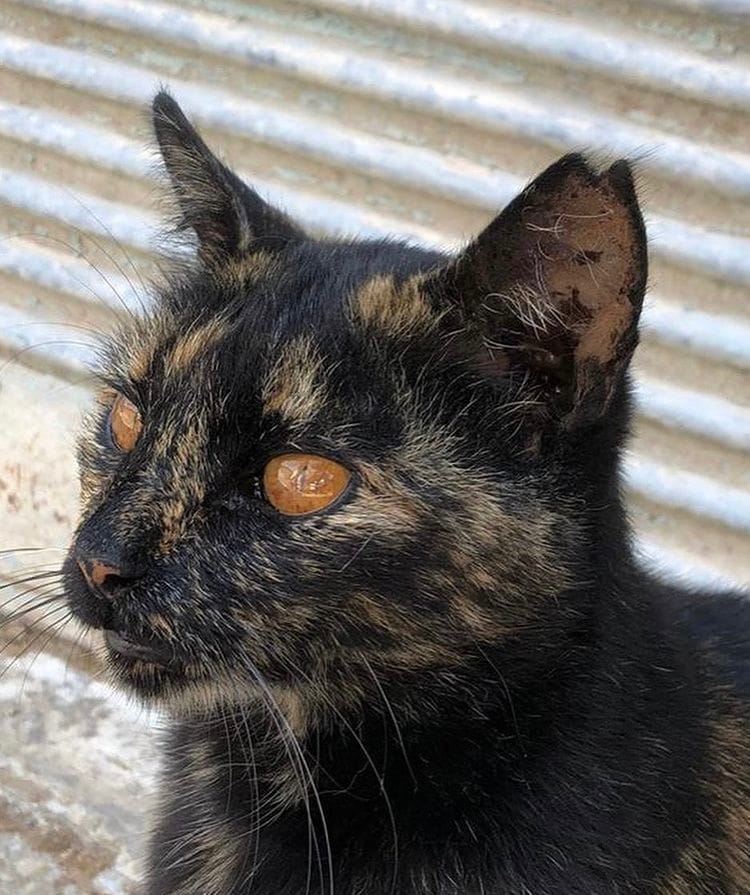 0850503D-32DB-428B-AF00-C7EA6A9ED04E