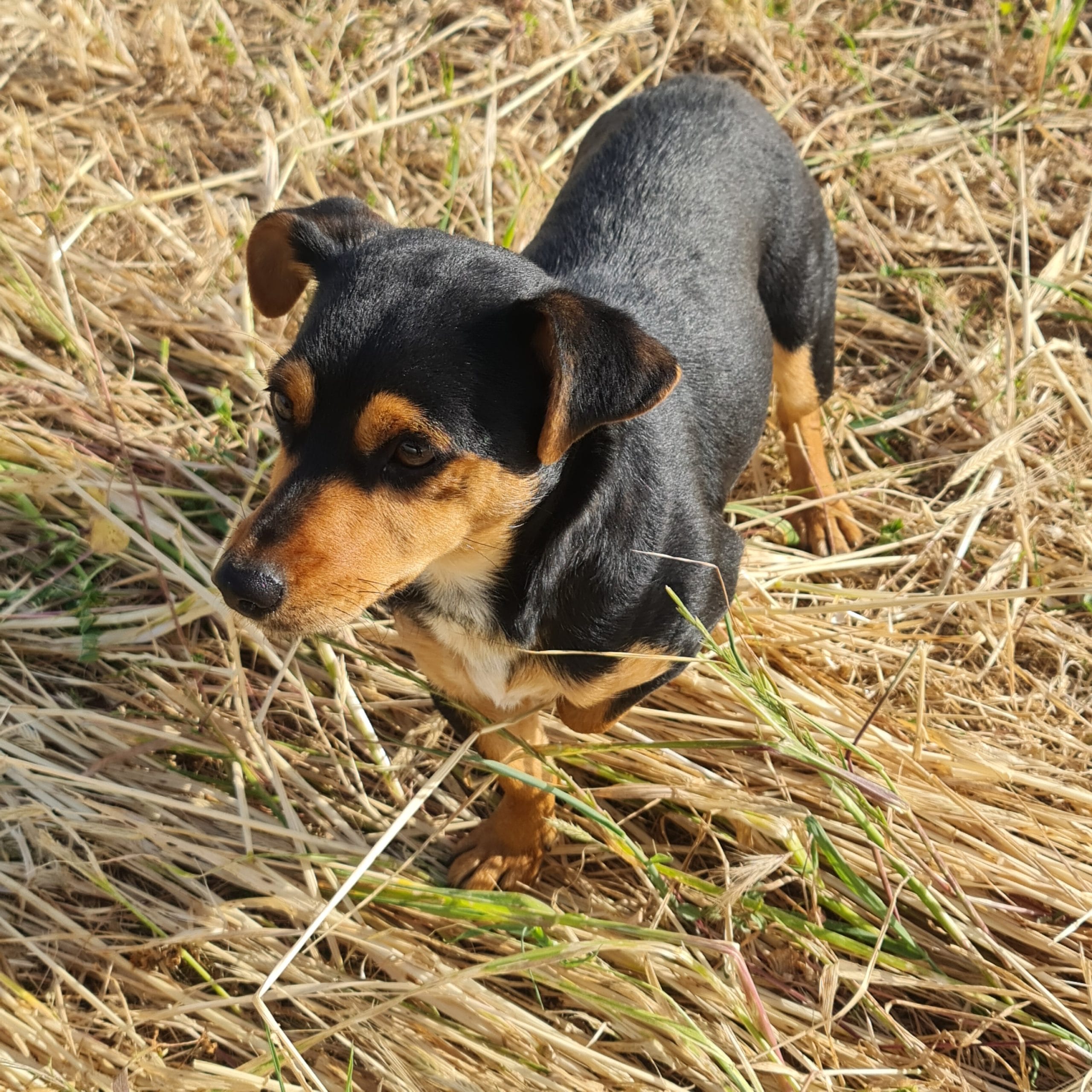 20220410_165442-scaled-1