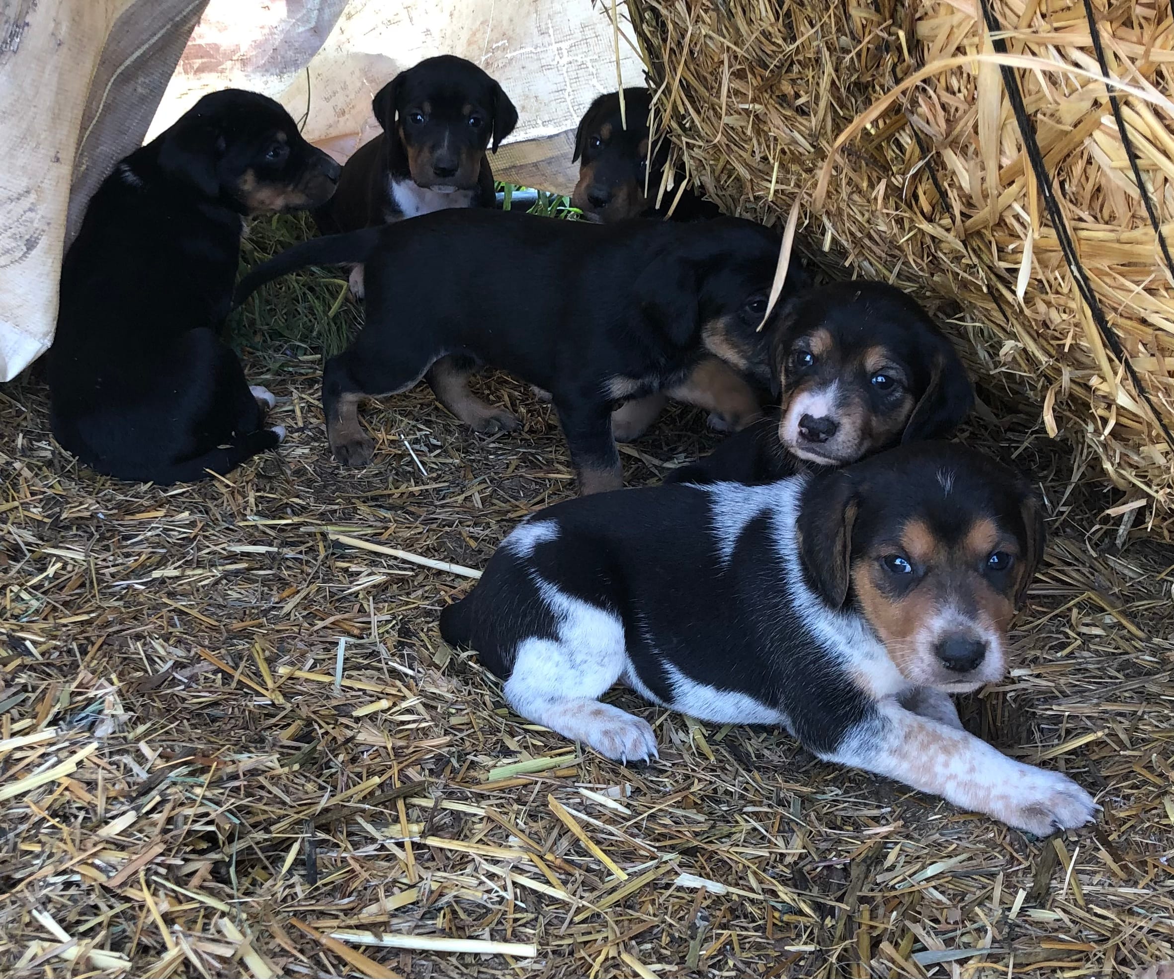 20234A97-2E36-4F85-8DAE-2E7F6650A81D