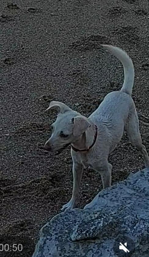 277253946_7312538332121920_3752894229021653998_n