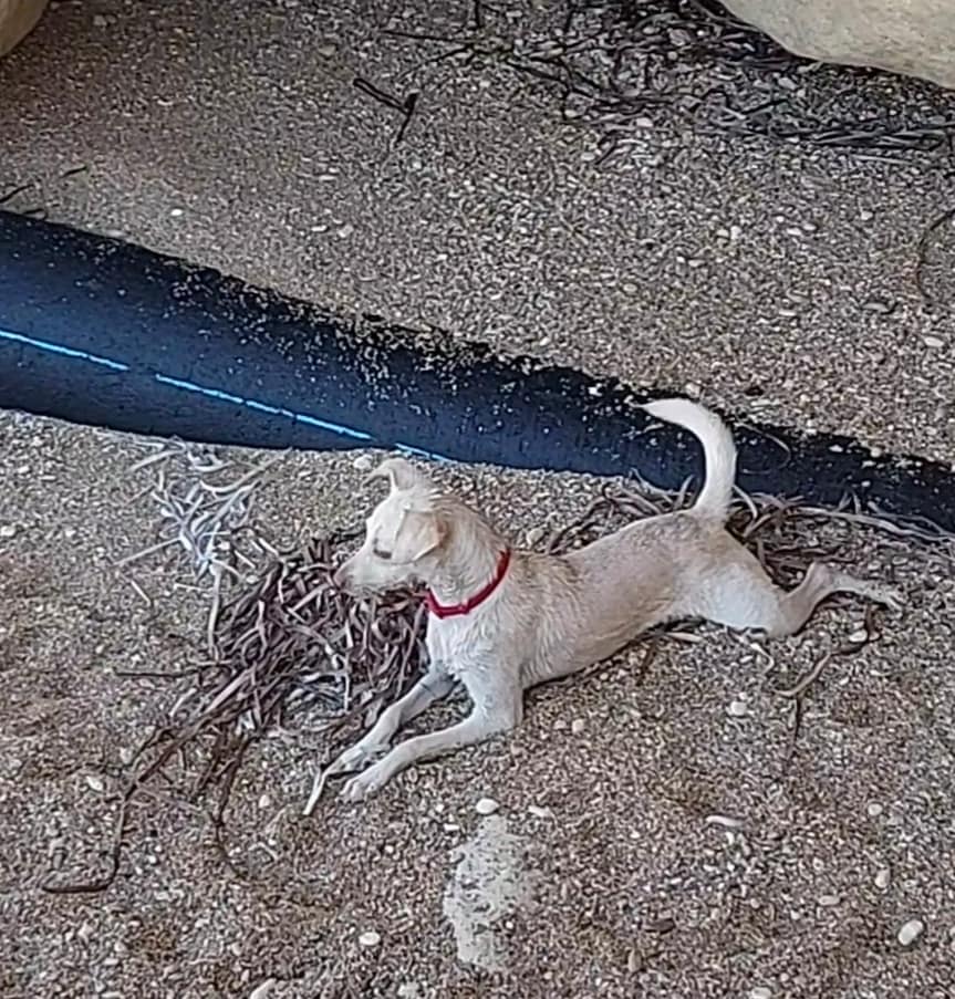 277362987_7312538528788567_444751047688196625_n