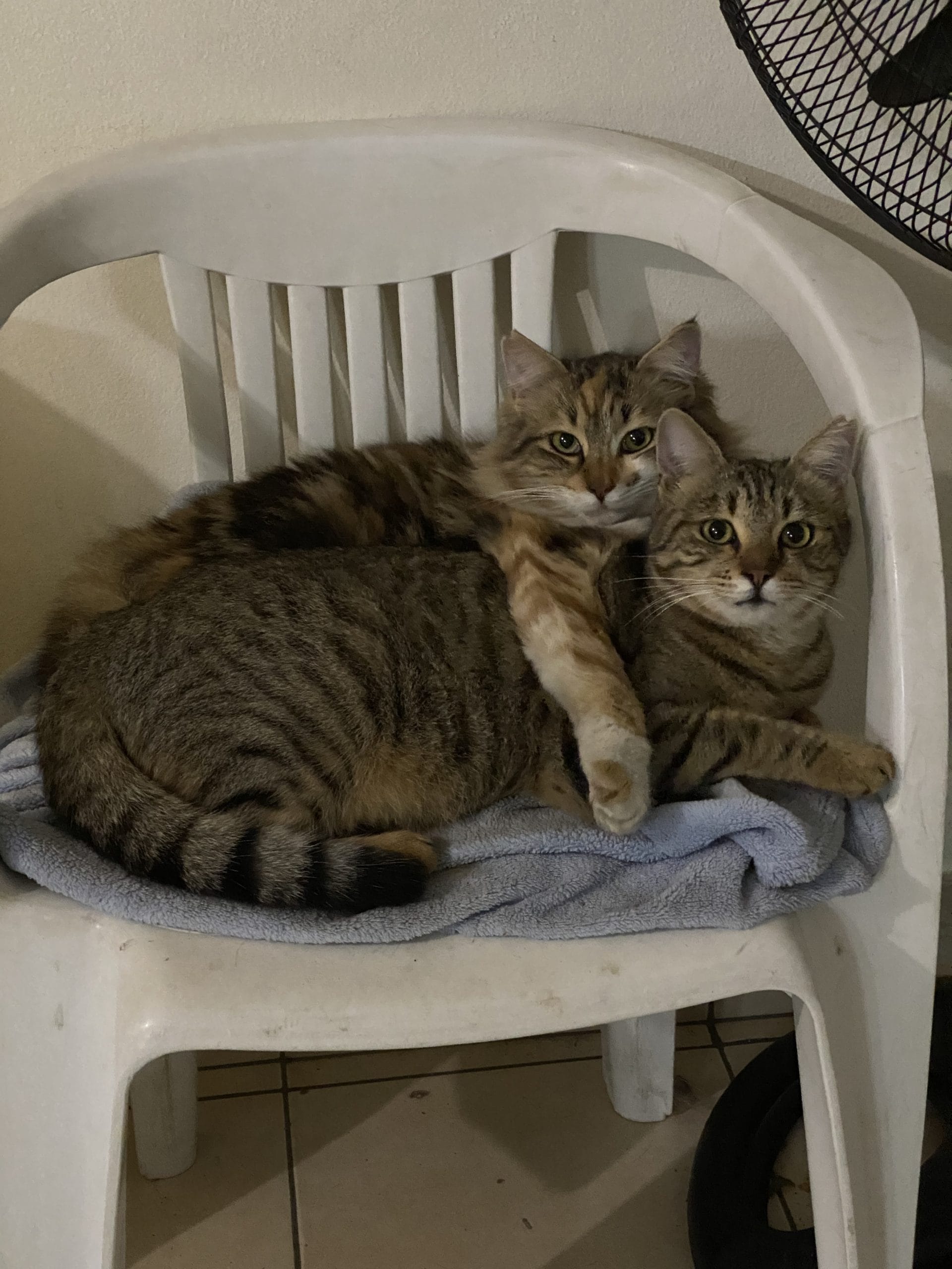 2B797098-A2BF-4C5B-9426-E6E20BC89740