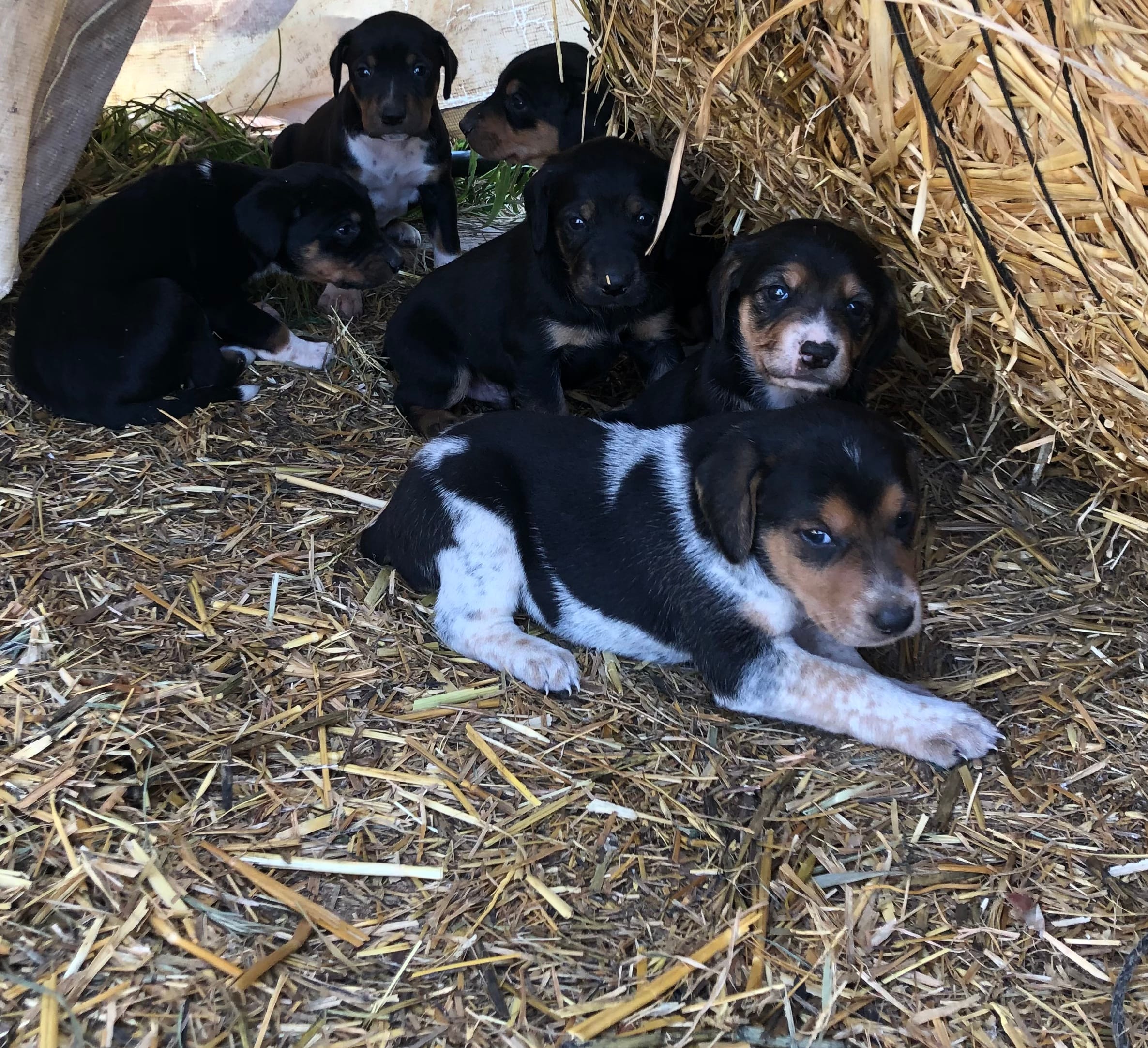 495C489D-D7F6-4D2D-A544-C32A7A495284