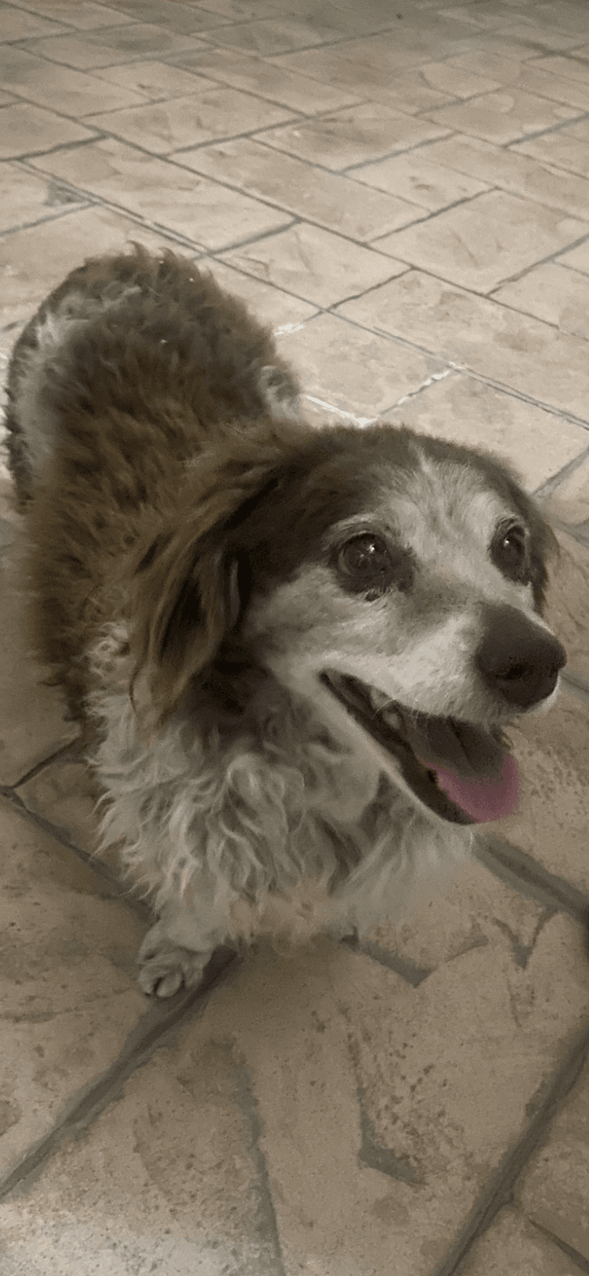 4ADA2E45-A19B-456D-A0D6-C23AD834F0EE