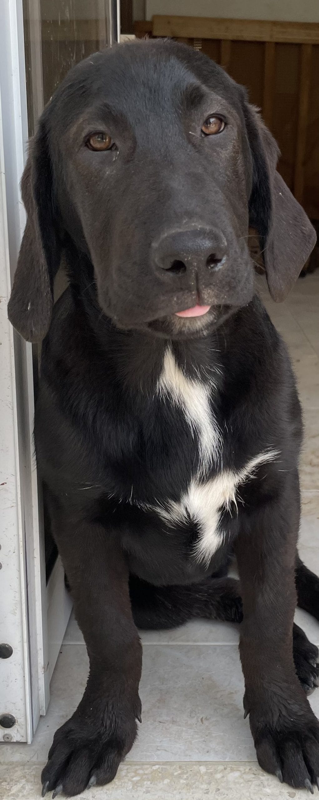 4FCACF8E-E5F3-4E4B-981D-BFB4BE0C3DA0