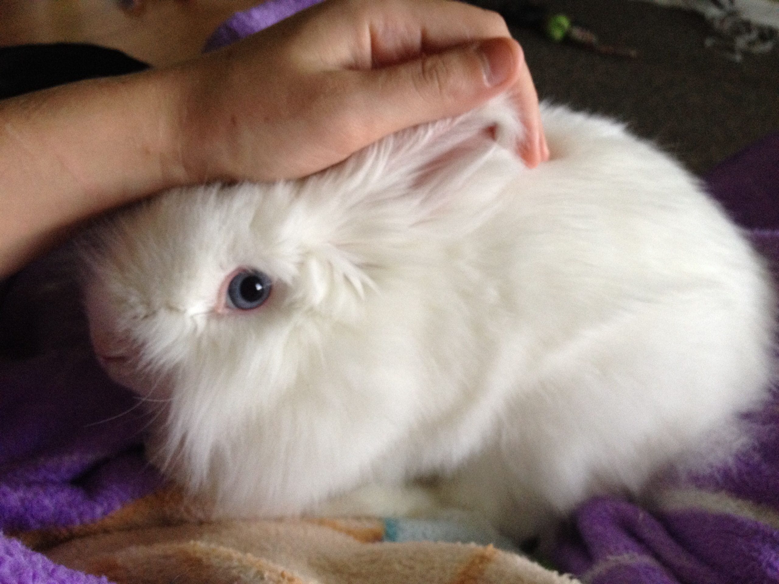 4a2f6ddd218aedd59bffe8da990c9611-scaled-1