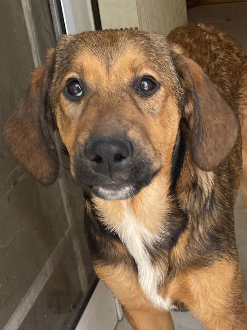 5F5B2F14-337C-46D7-8F1F-F87F89A2AD7C