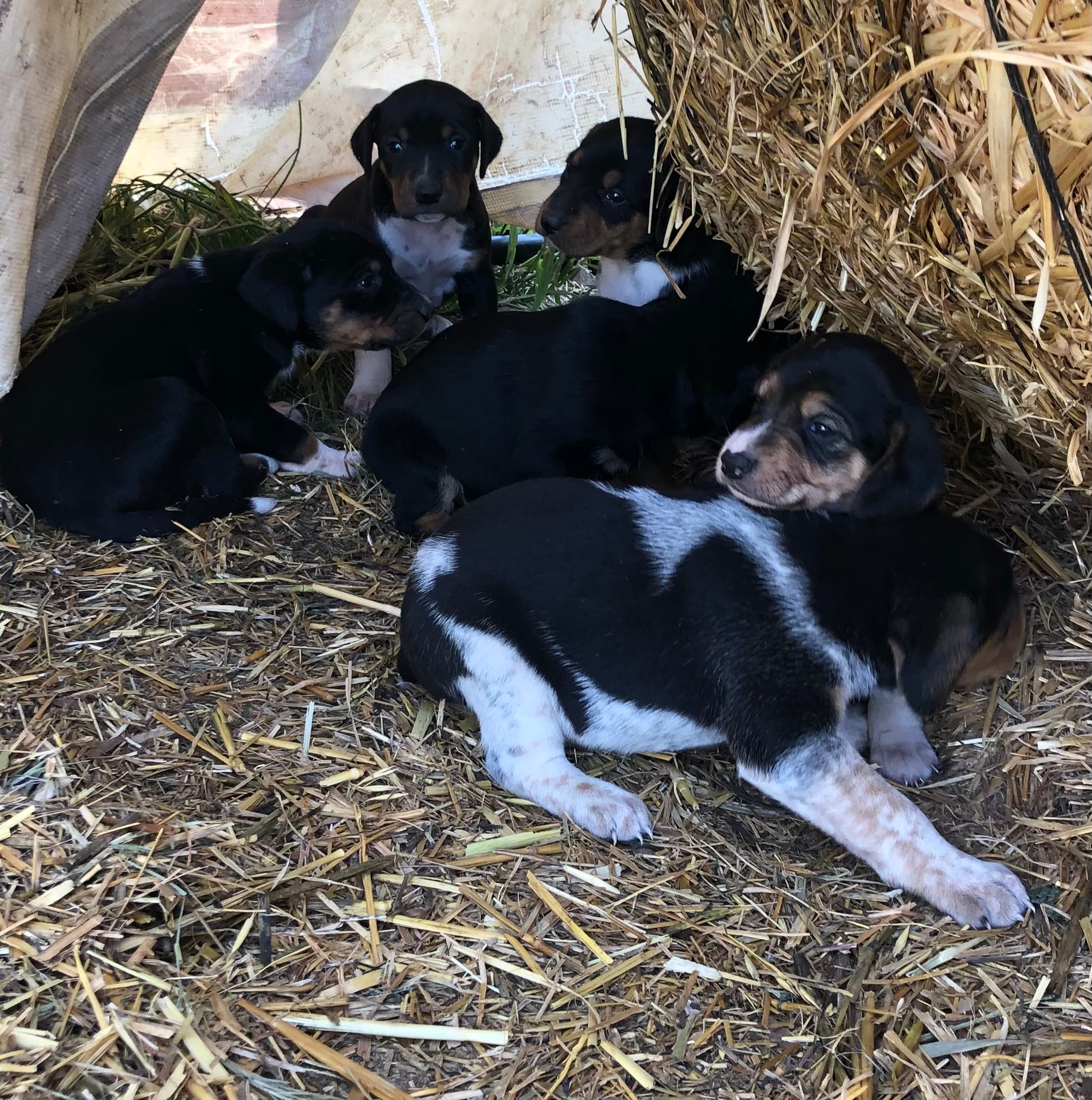 A6BBB557-760F-4D55-9EC0-5D4307641A9D