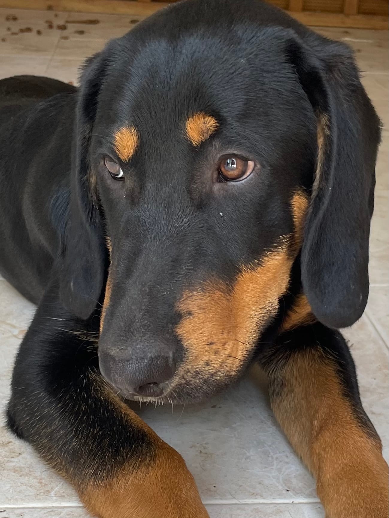 A90A8A5B-3AD1-45A2-829B-978FD858560B