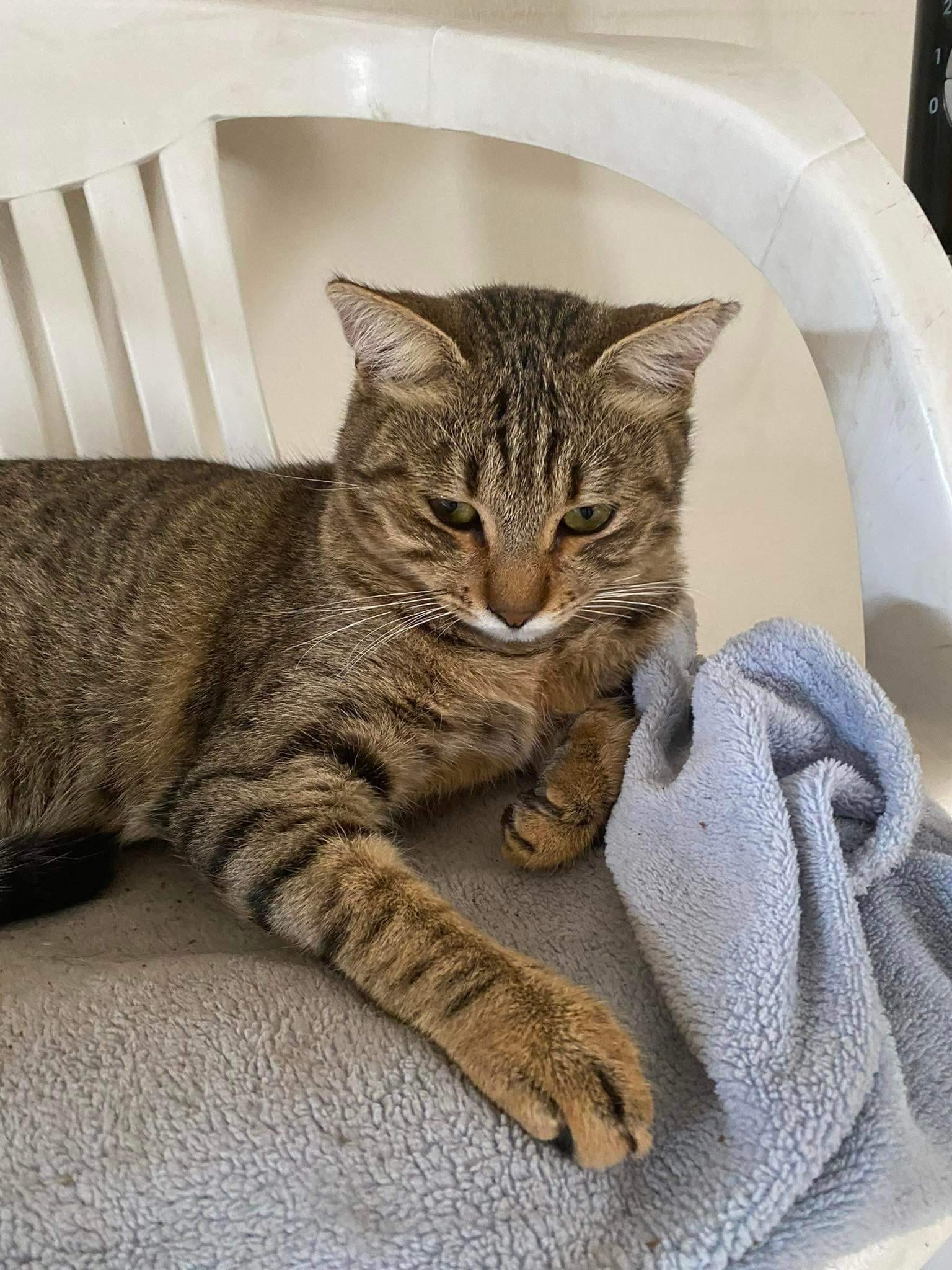 AEDD05A2-E464-41DE-8033-C190797B5D38