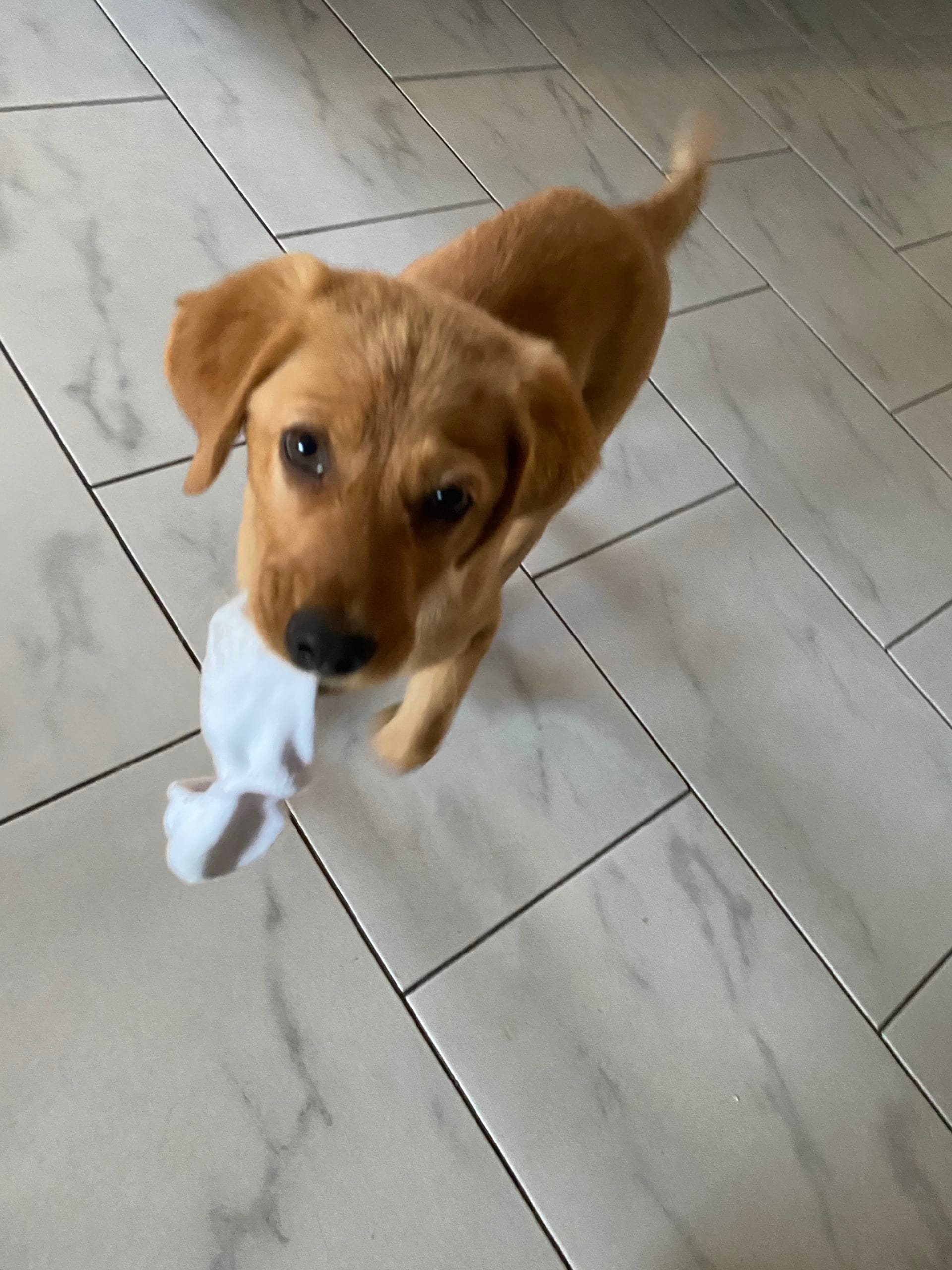 D205654D-3921-42EE-AB88-1E32430D0C5E-scaled-1