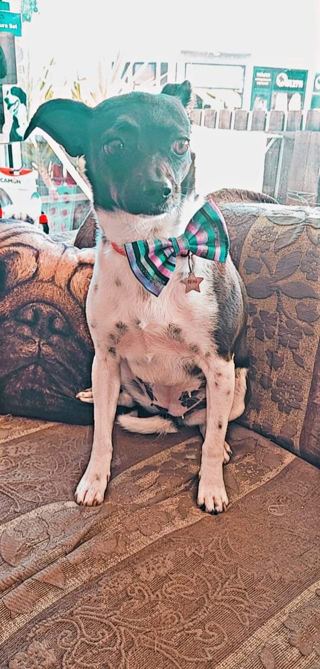 FB_IMG_1650746398801