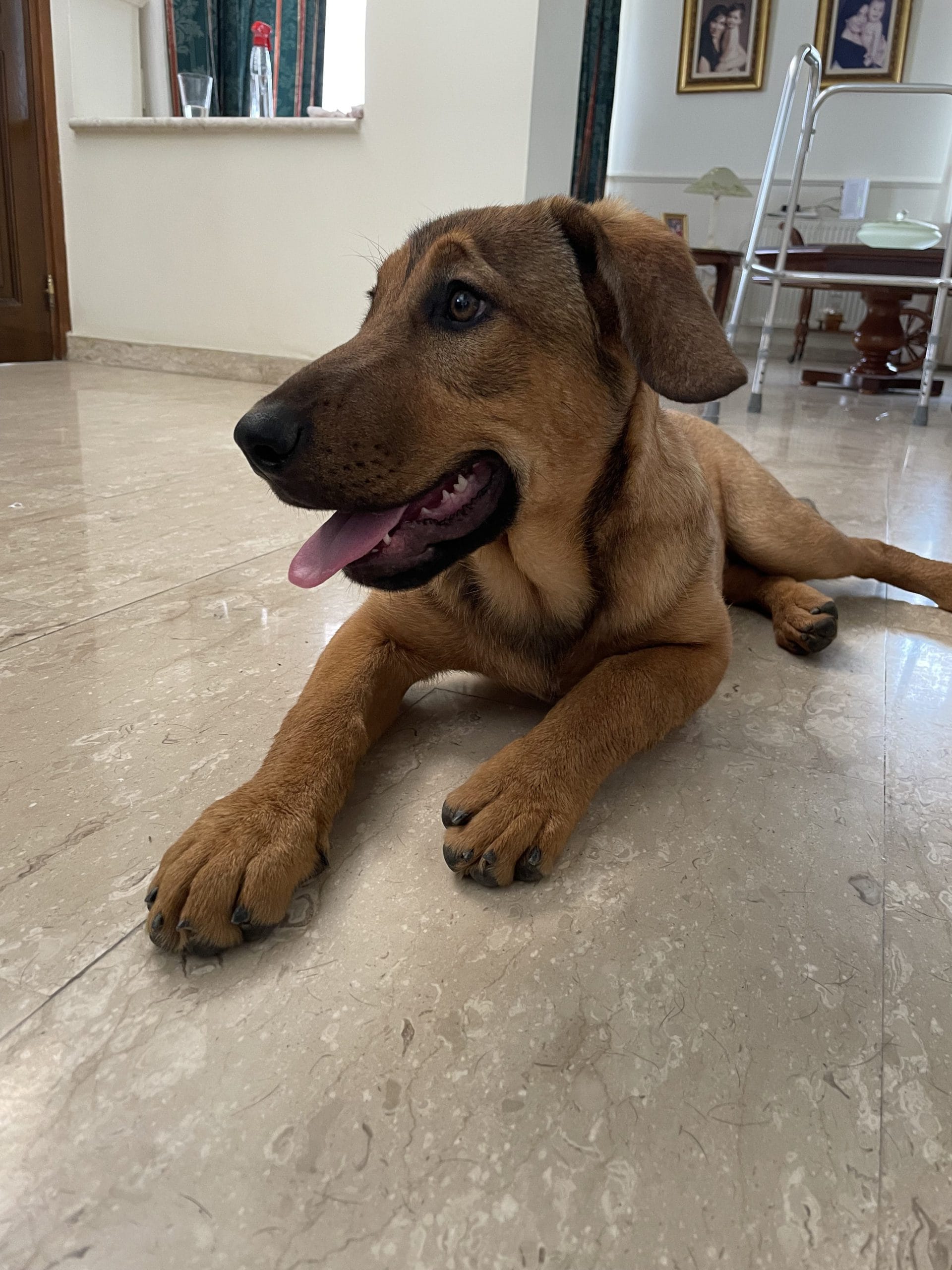 FDB3C54B-63FC-4202-8BDB-B7BDE1232E63