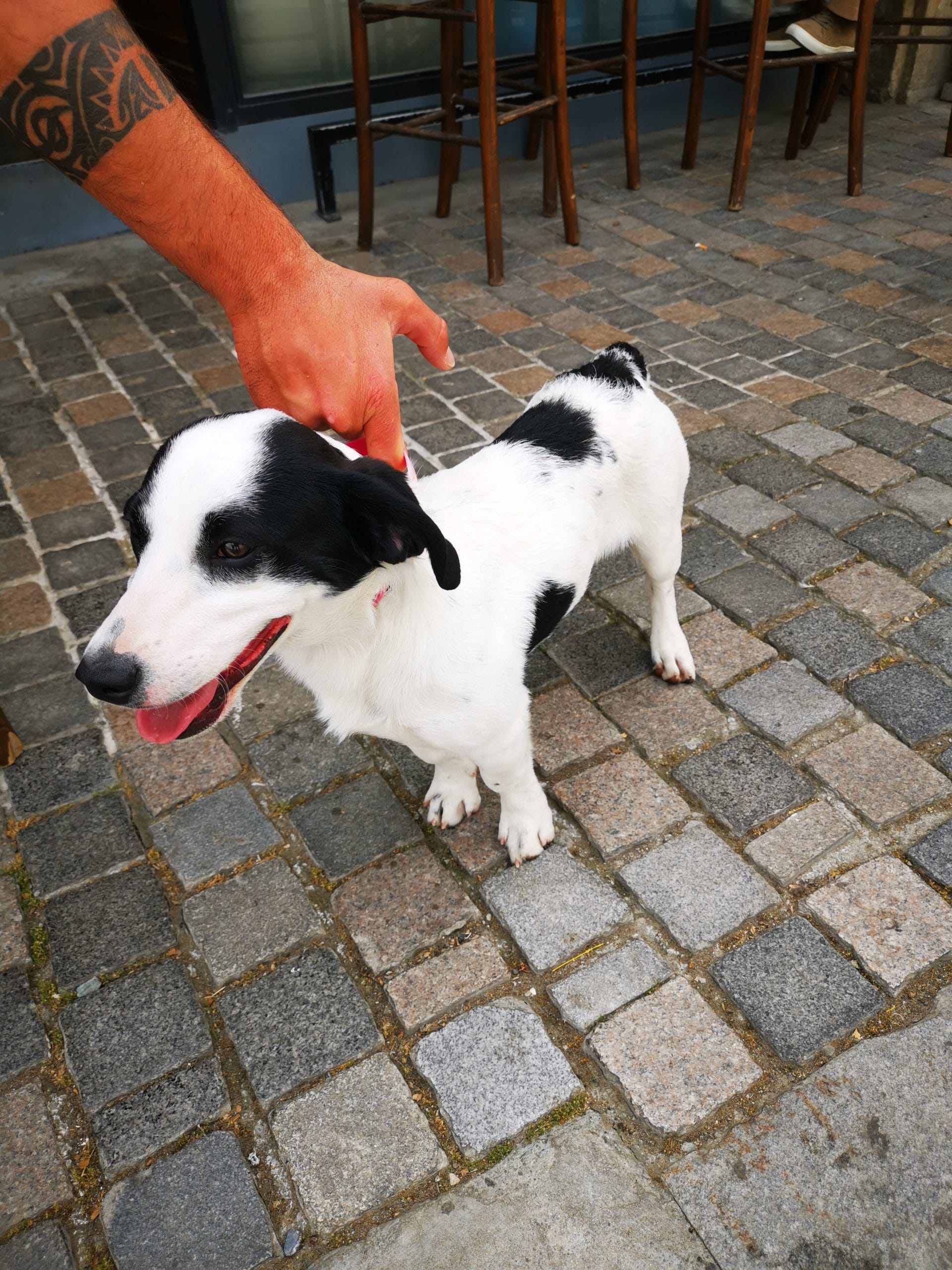 IMG_20220417_135236-1