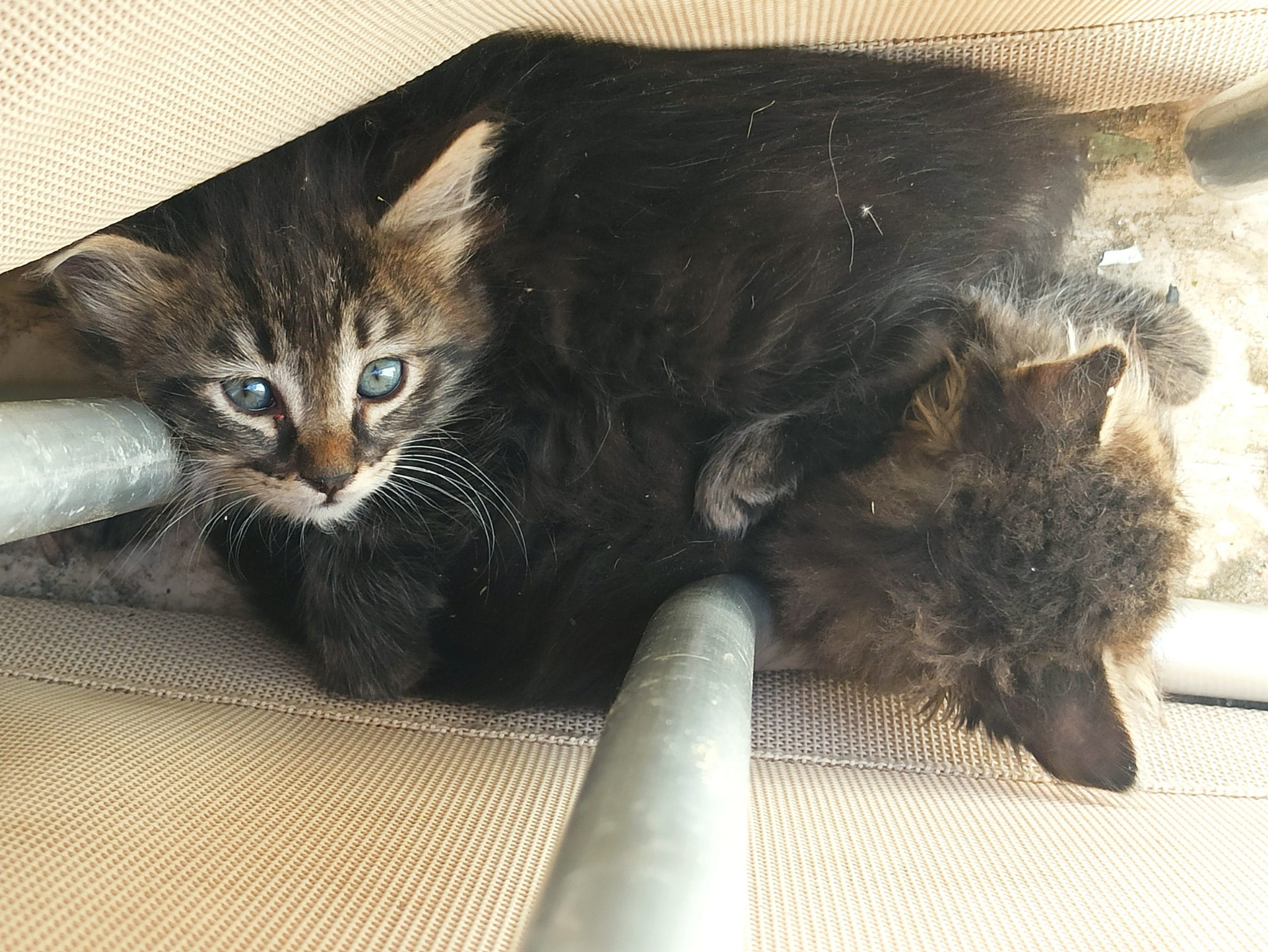 IMG_20220426_144457-1