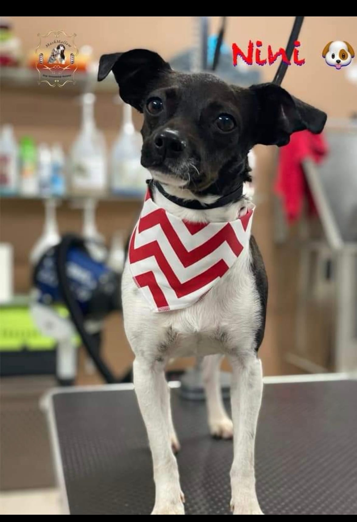 Screenshot_20220423_235230