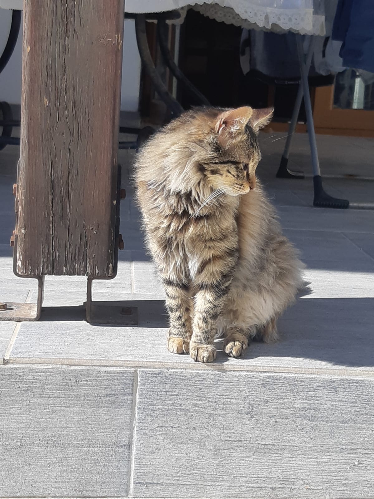 WhatsApp-Image-2022-03-31-at-21.06.57