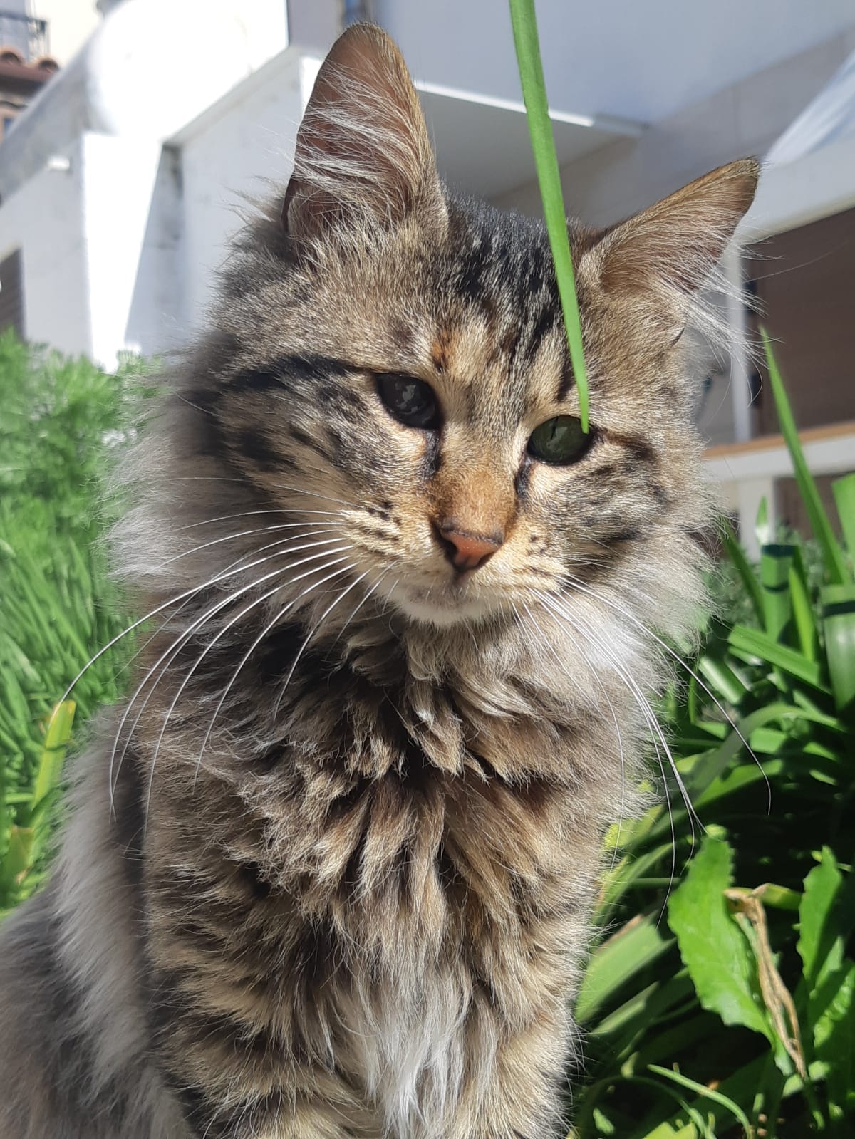 WhatsApp-Image-2022-03-31-at-21.11.29-1