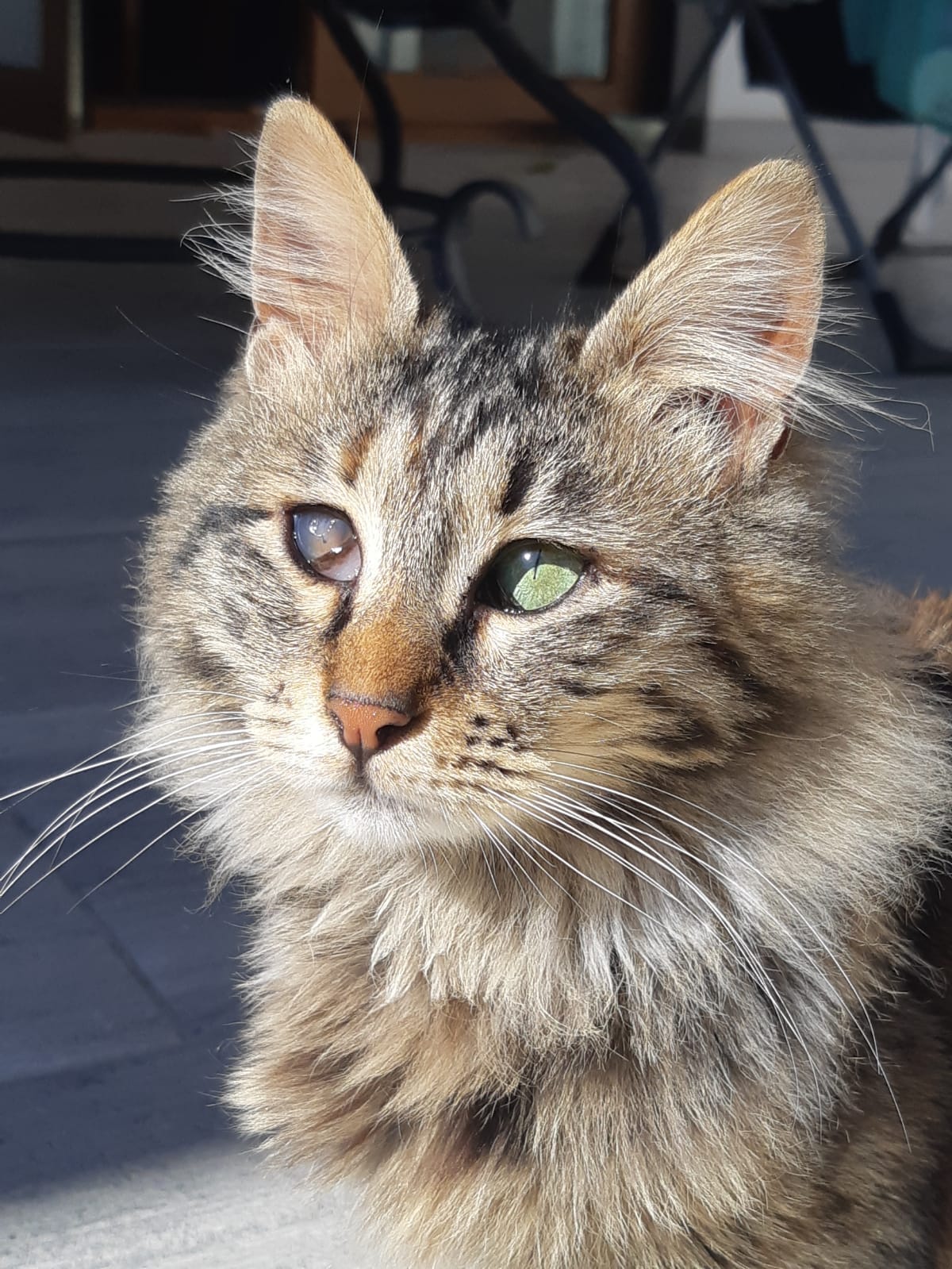 WhatsApp-Image-2022-03-31-at-21.11.29-2