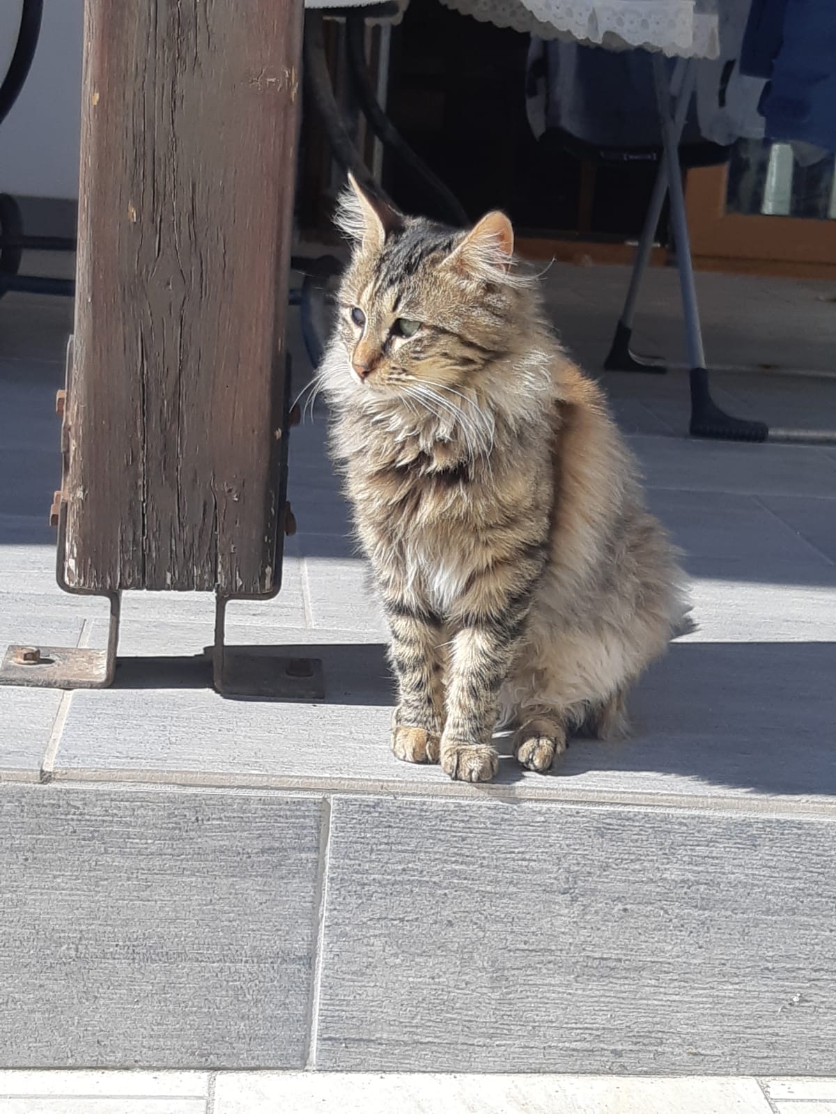 WhatsApp-Image-2022-03-31-at-21.11.29