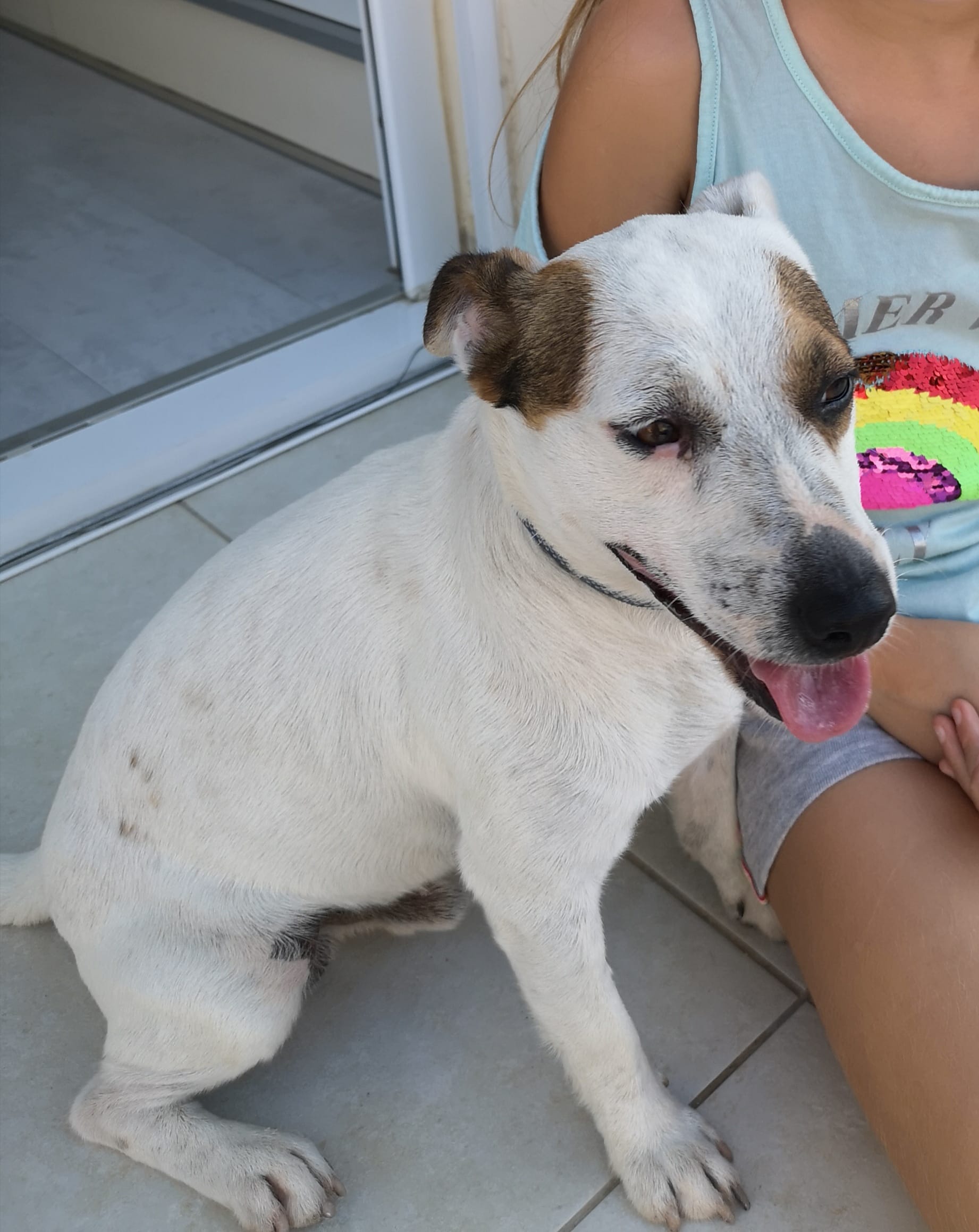 inbound1762708610999652346