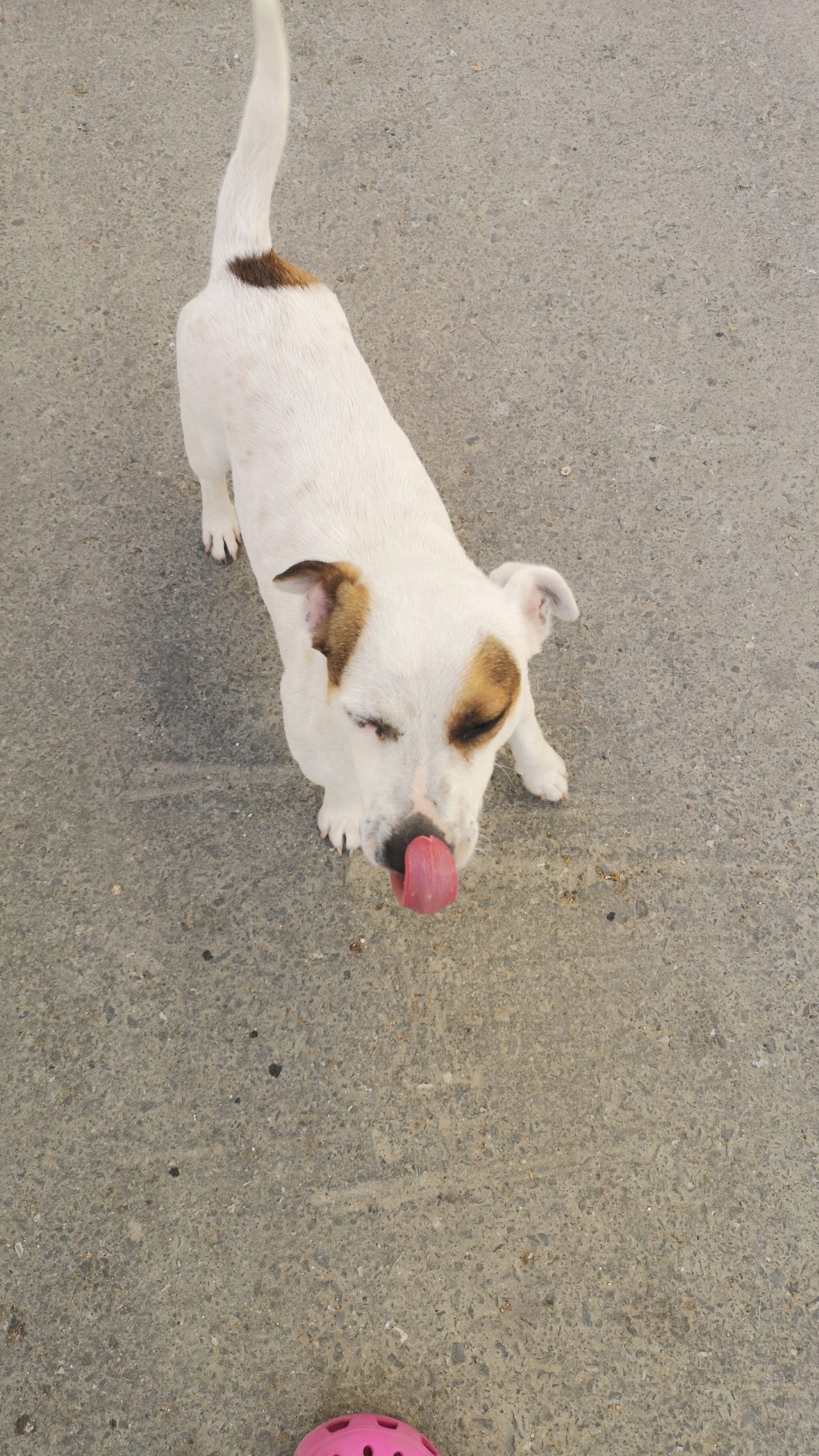 inbound6472437110210706765