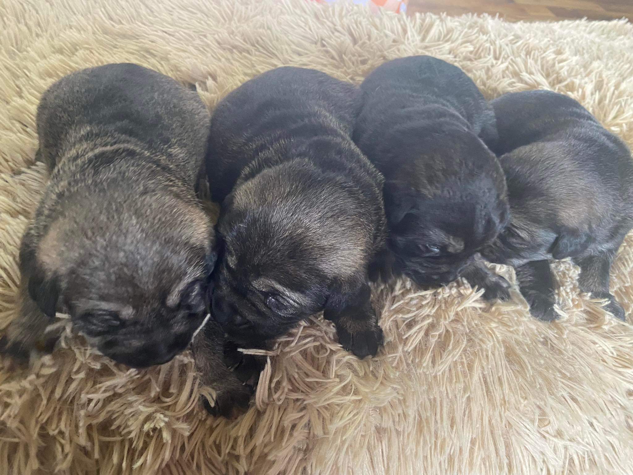 received_1399947473799280