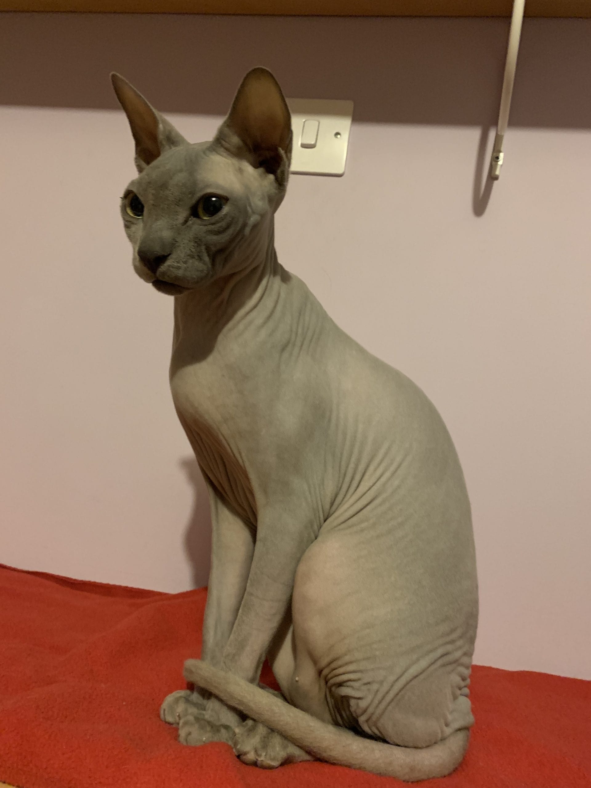 1A249142-4786-4519-8541-FD22E73CA505