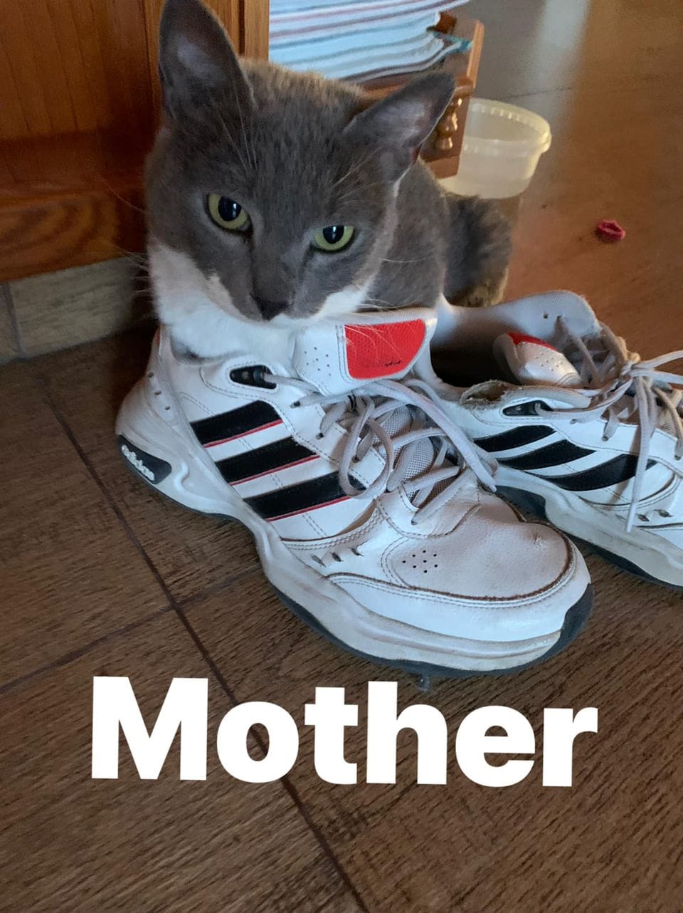 279634383_989791155257851_569319324862351246_n-2-1