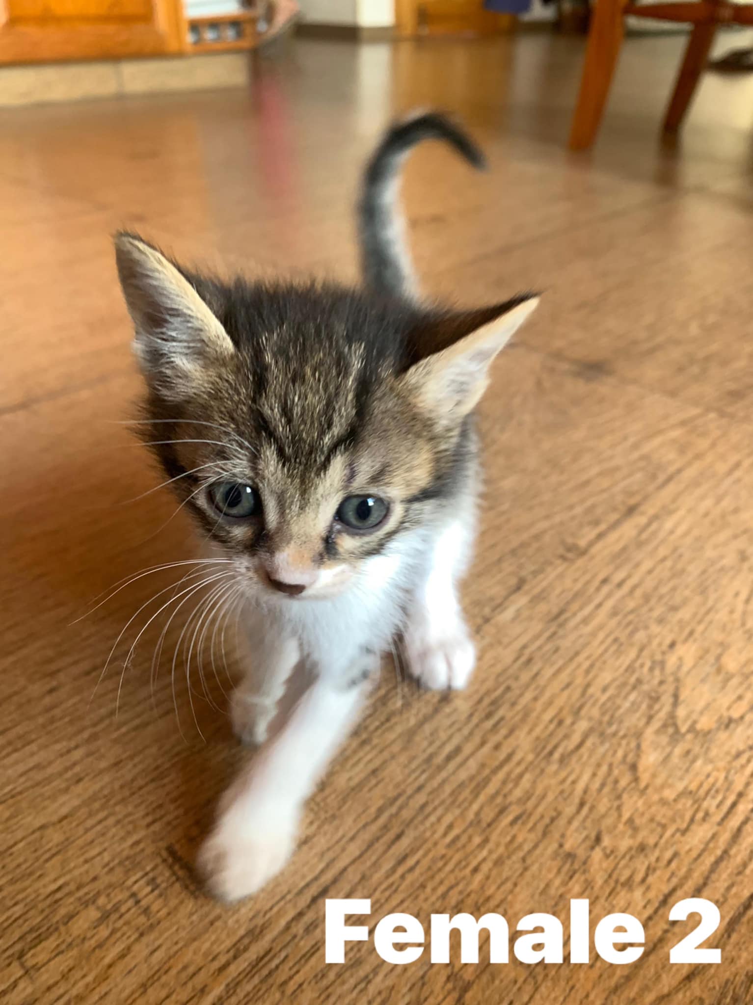 279644607_989791208591179_3244480624958228826_n-2