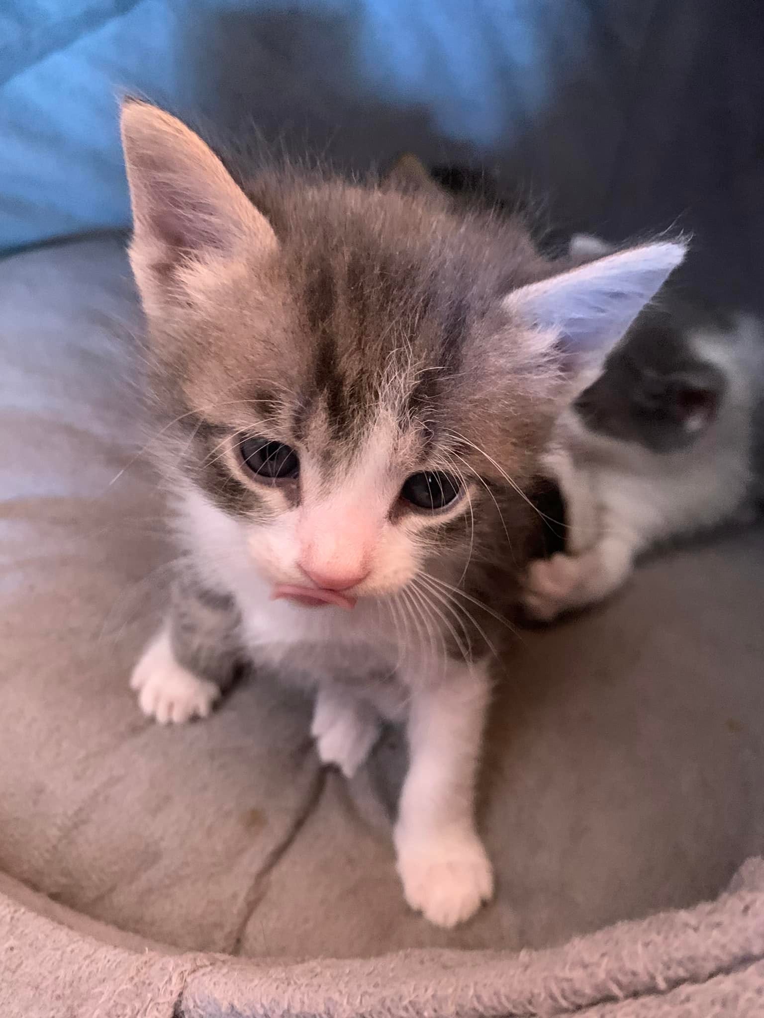 279645827_989791245257842_1202496278294638225_n-2