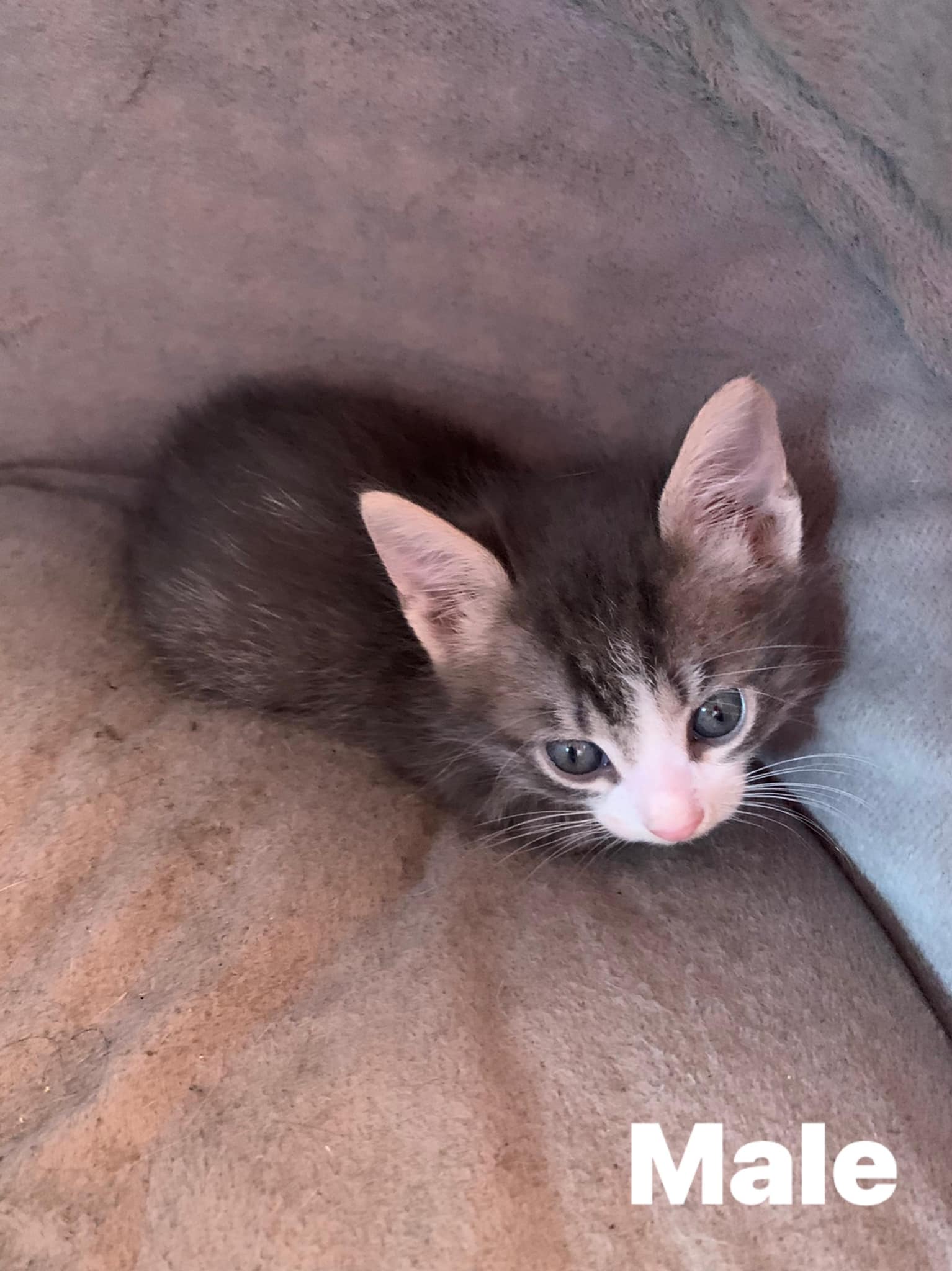 279656236_989791161924517_9191881323137933191_n-2