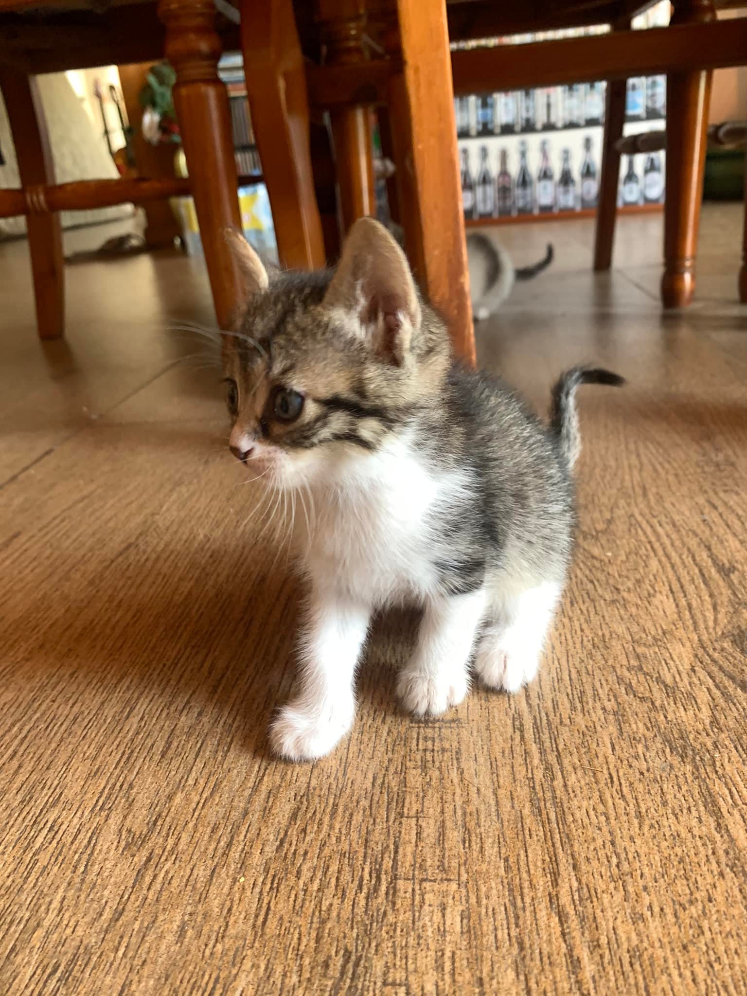 279663224_989791175257849_4196028152476036911_n-2-1