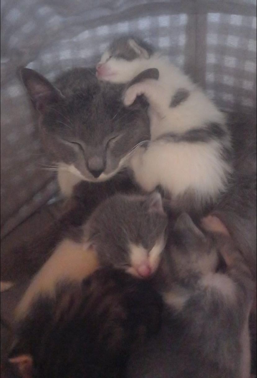 279752432_989791041924529_3968486936622912296_n-2