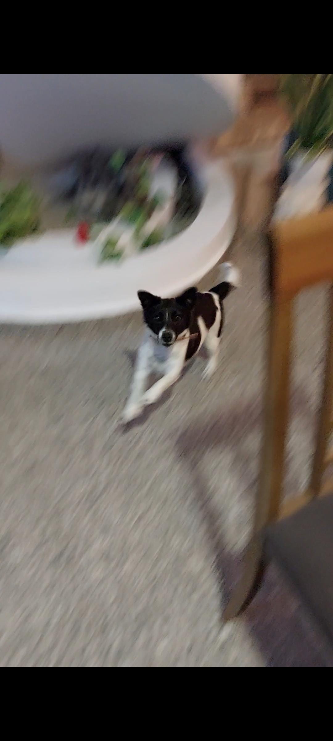 2F7913A3-05C6-44D6-A5E4-4C23D2B84934