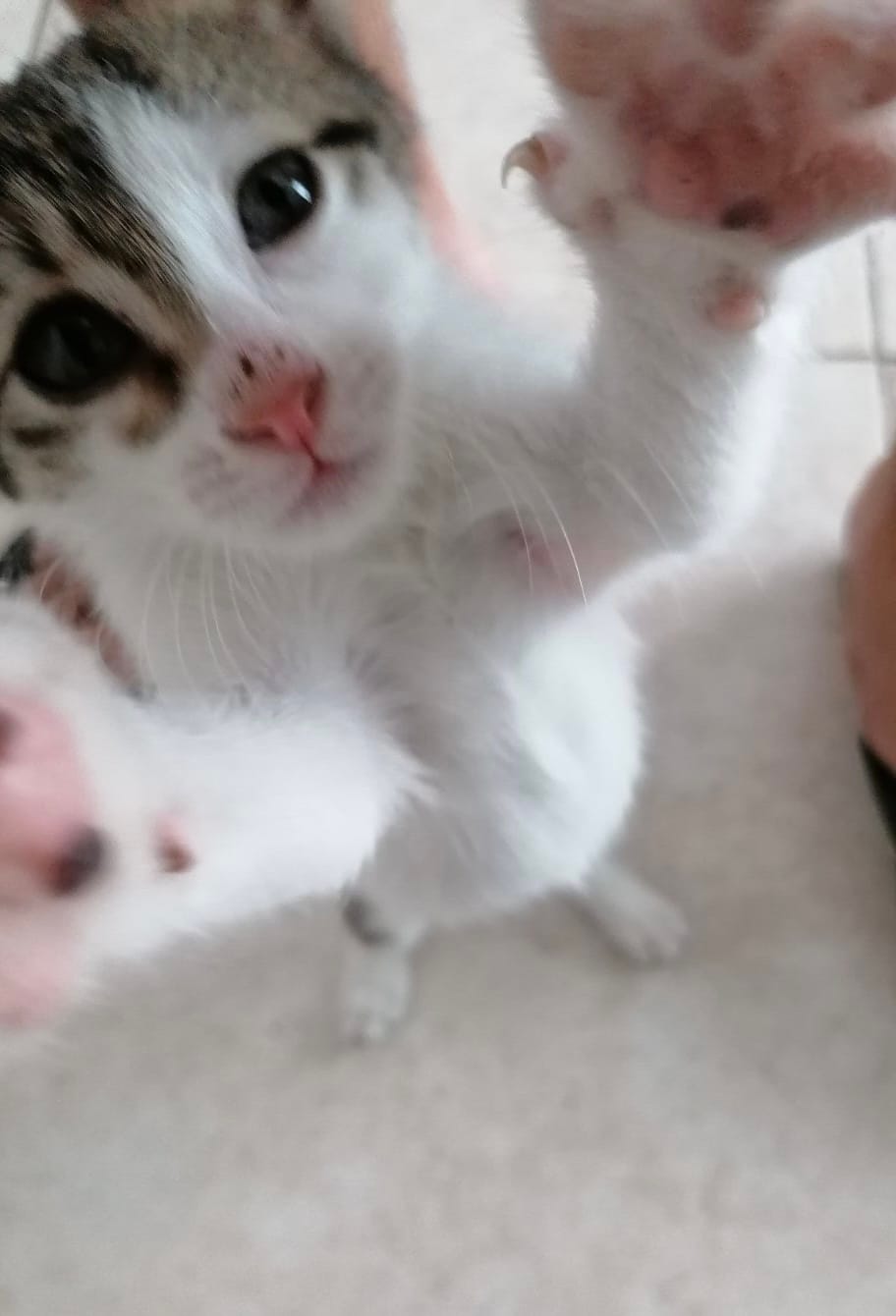 30E72DF9-74BA-4263-8779-B4F4402D0706