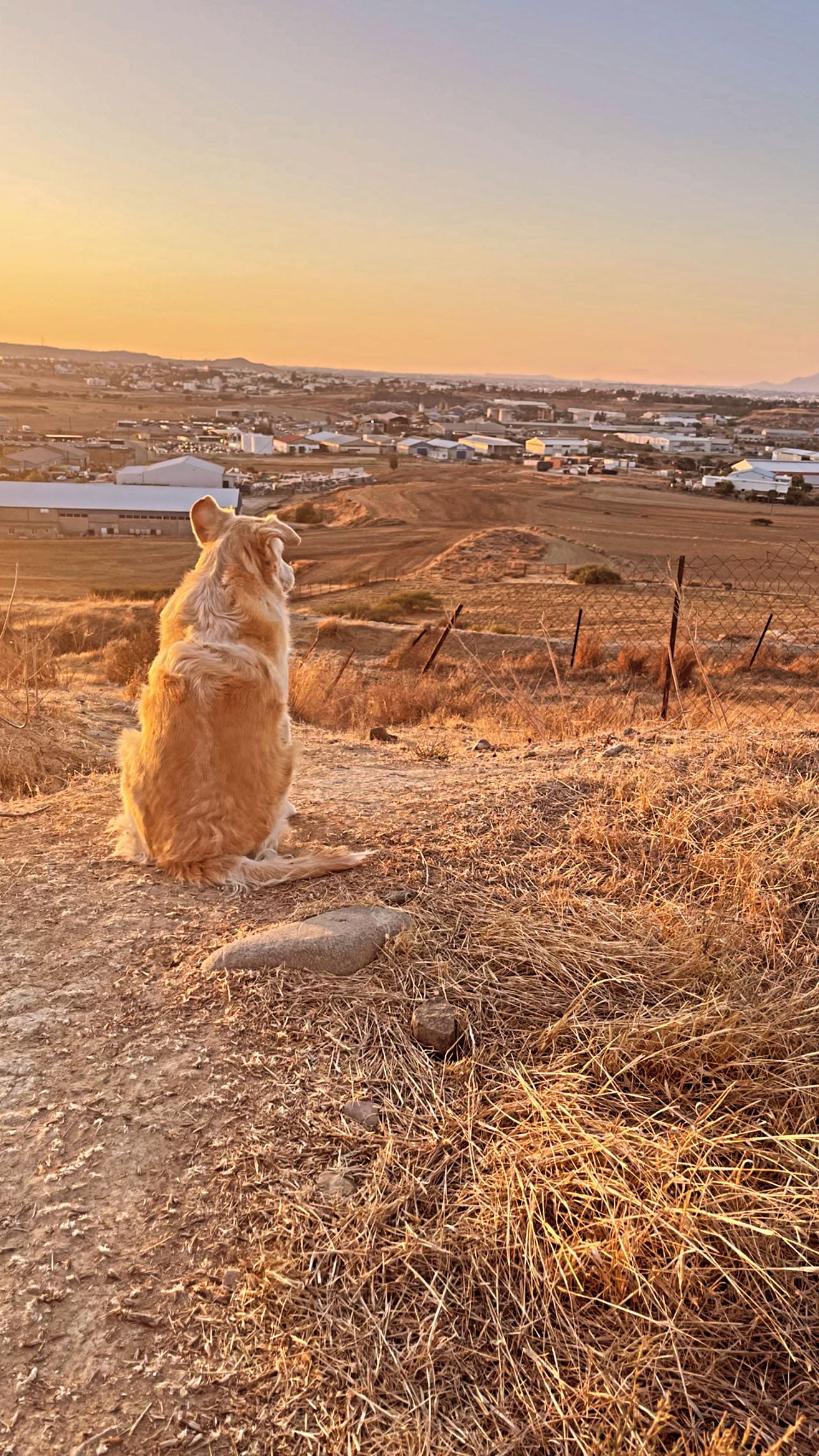 361B0F7F-A2C6-4332-B472-5DC61094A479