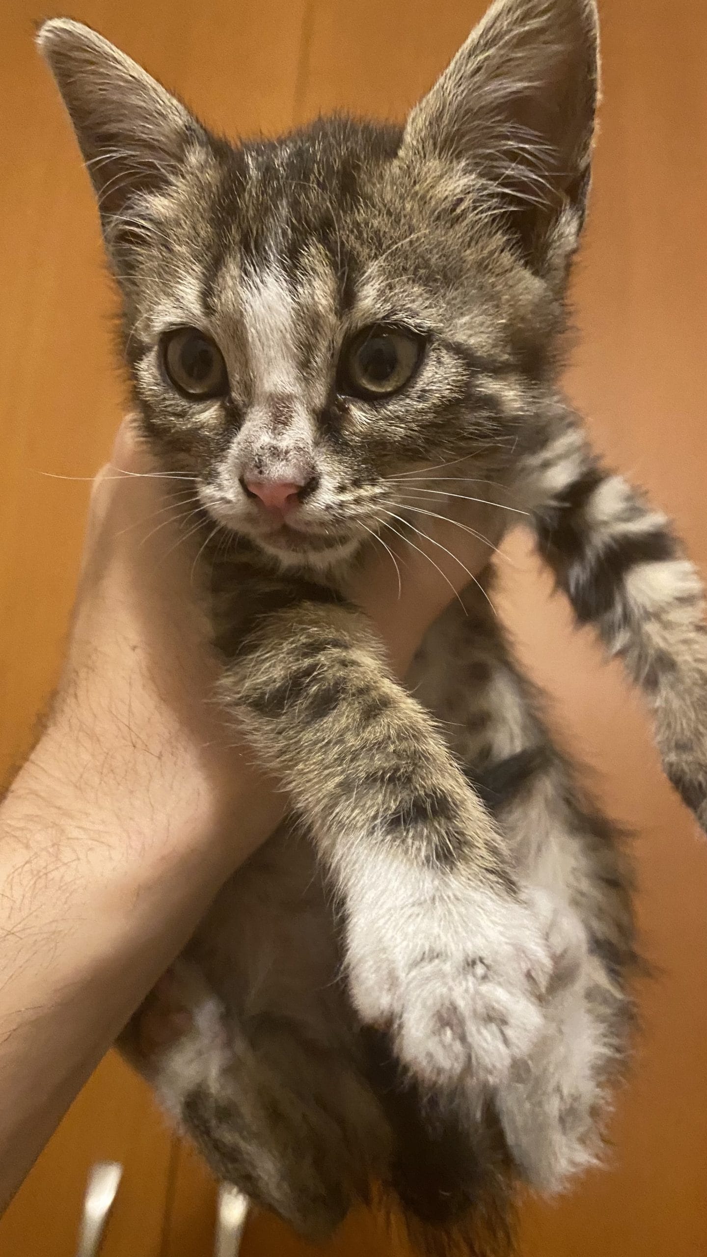 372484E0-DDEB-40E7-BD91-5EBB99838104