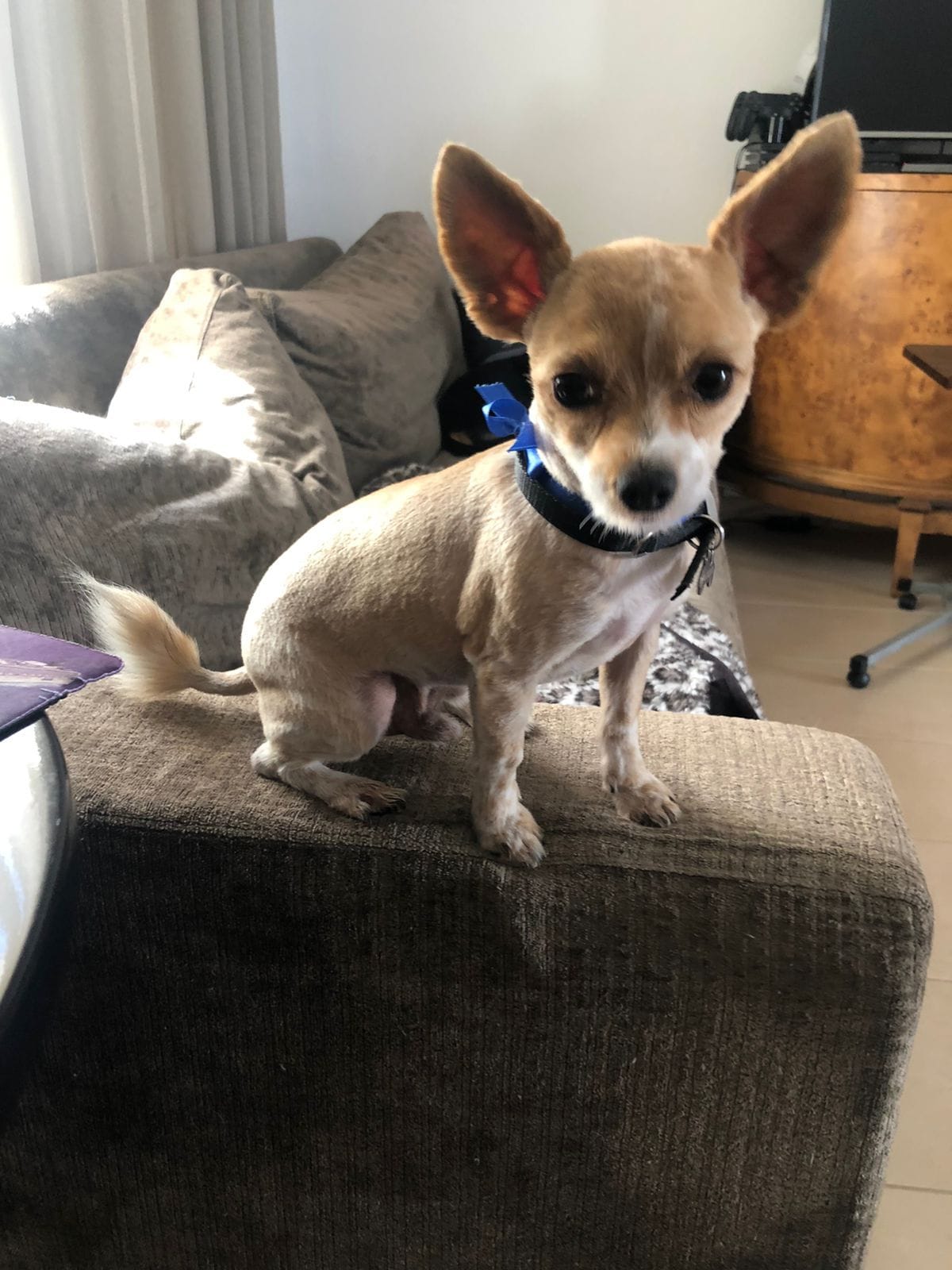 3CE4FD3E-9E6F-41F3-AB82-52E47D558C06