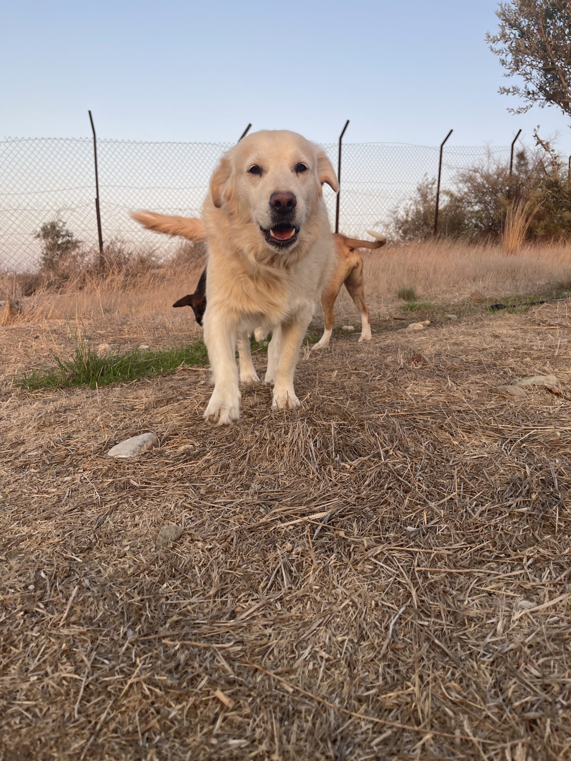 4222991A-604B-4662-8902-D6C2A388B7B2