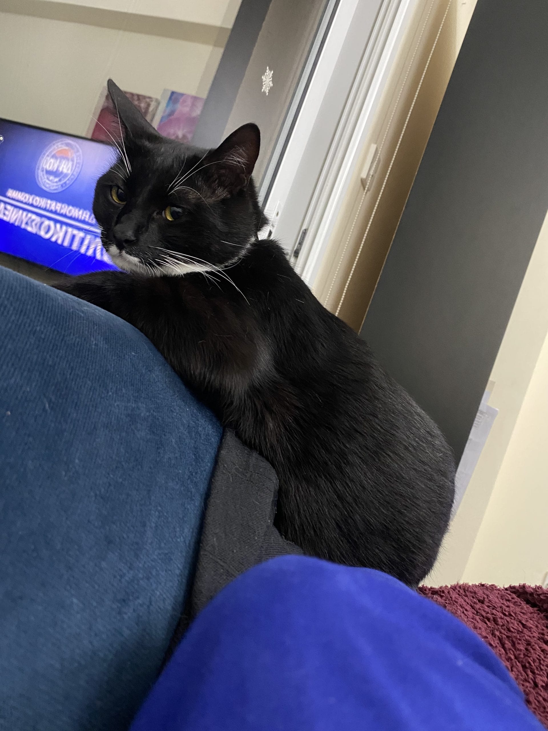 44B147CF-5AB1-47CD-8A17-5424AD61C01D