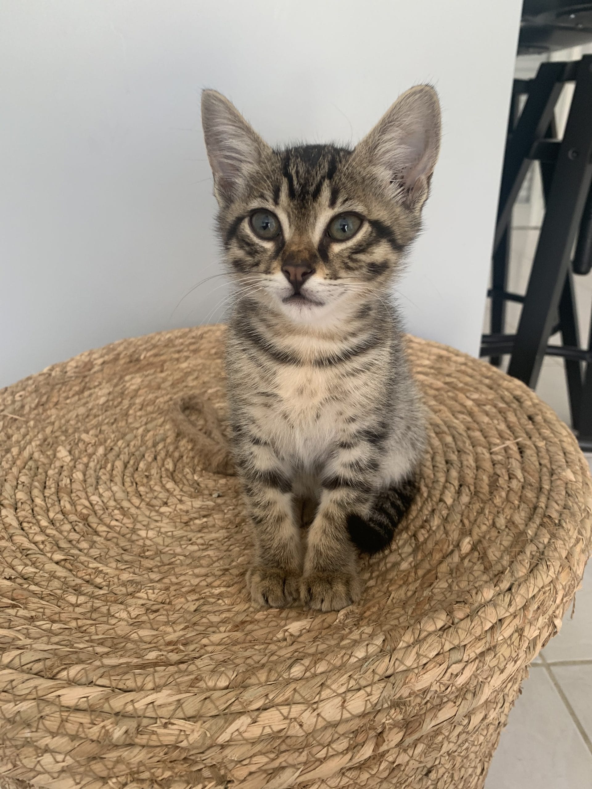 52675997-C646-4D78-949B-27468556F4FB