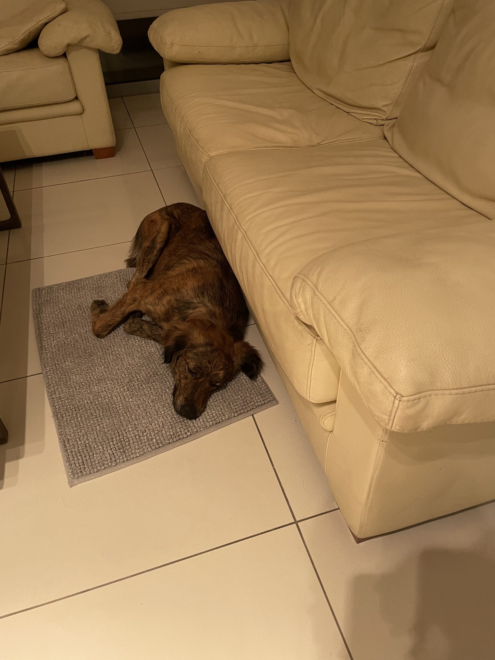 6B311FA6-1169-42E3-BEFD-1C6E104B0FBF